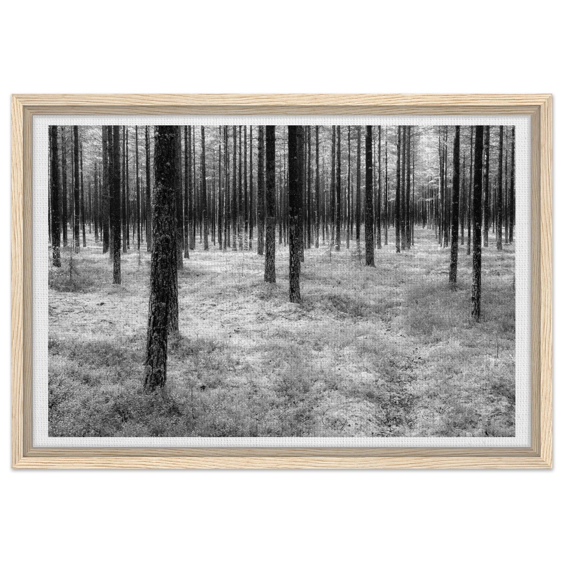 cf0af419-d76f-442b-8f84-e8eda1cd2128