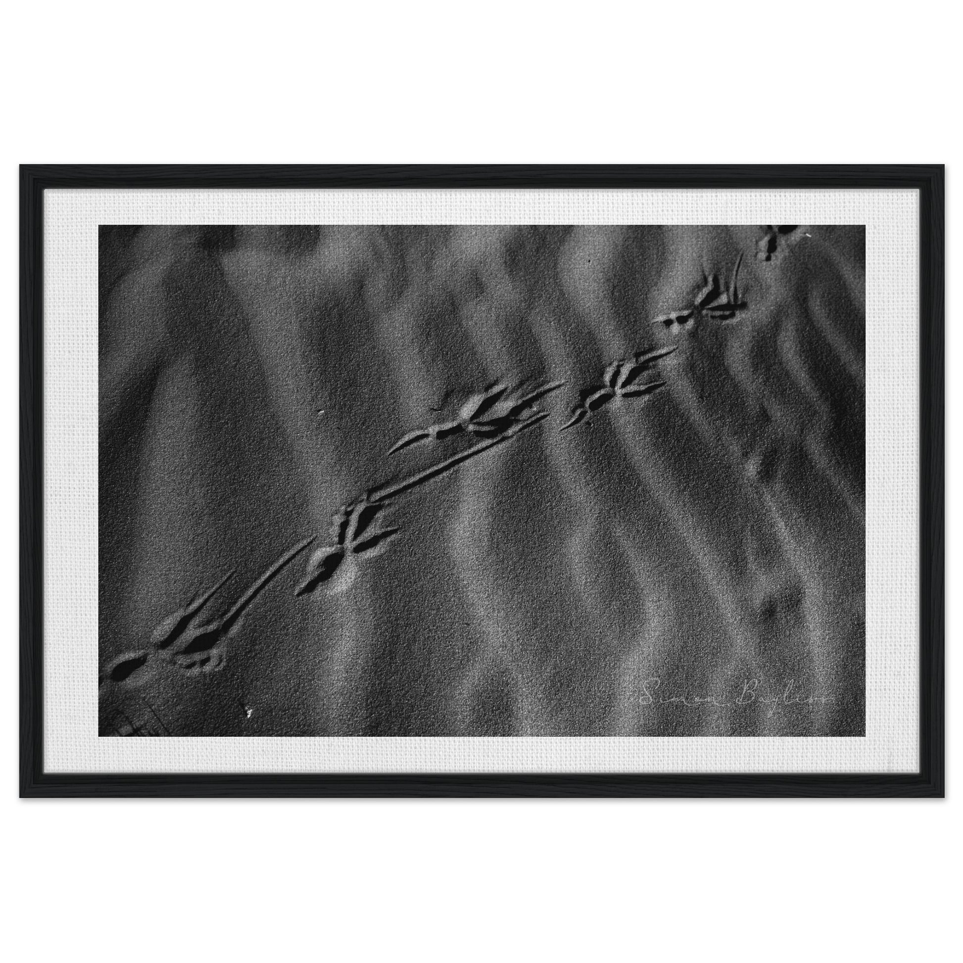 cffc2fba-6aed-45d8-a062-ae35e4ed41bc