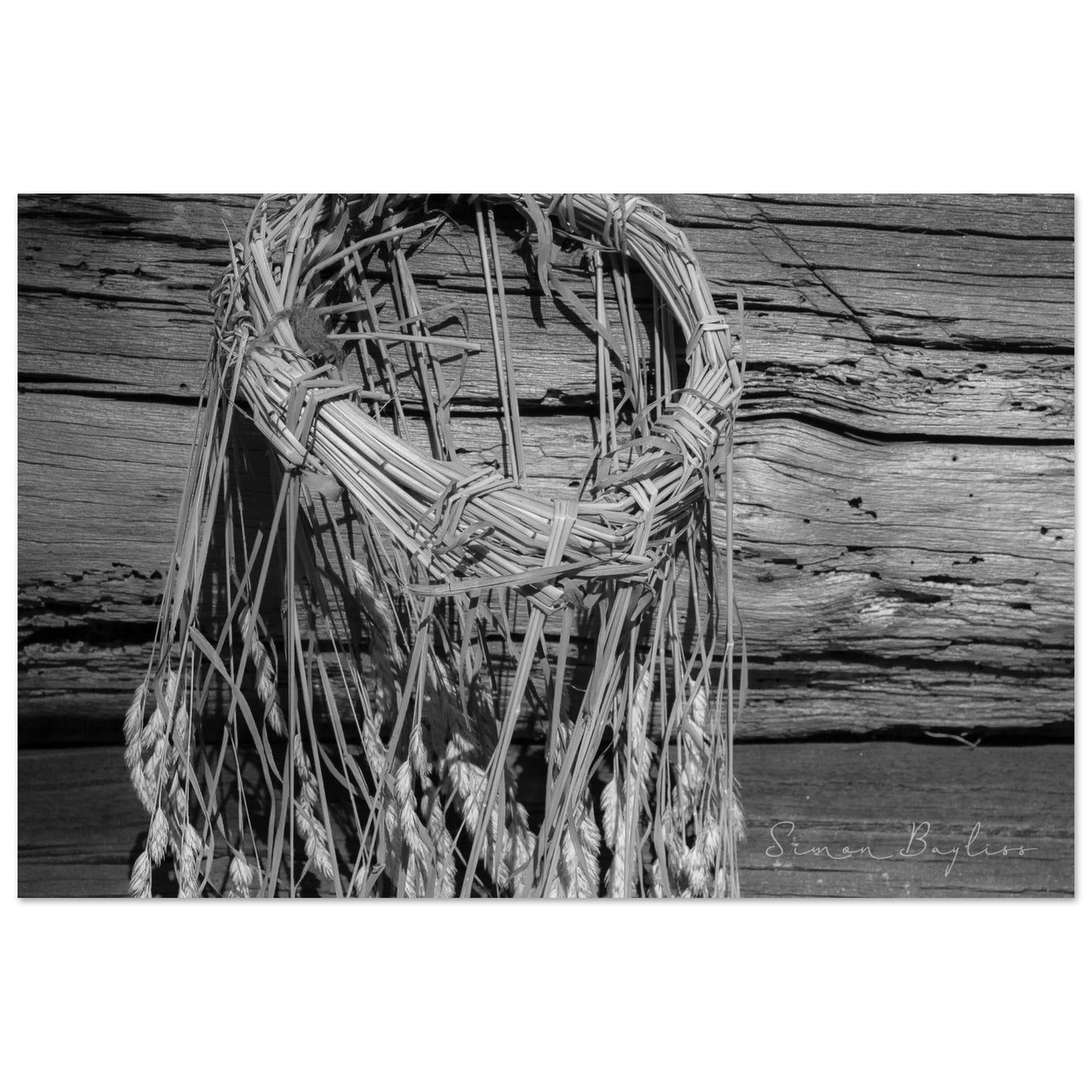 d009bbac-a445-4387-abf0-33b5a5216931