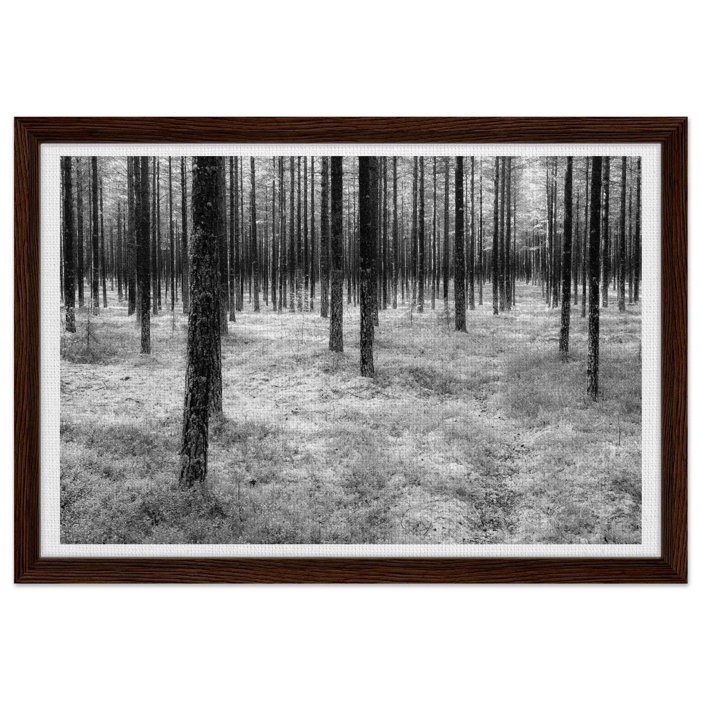 d02f6f4a-80ab-4b42-8785-3204991d4176