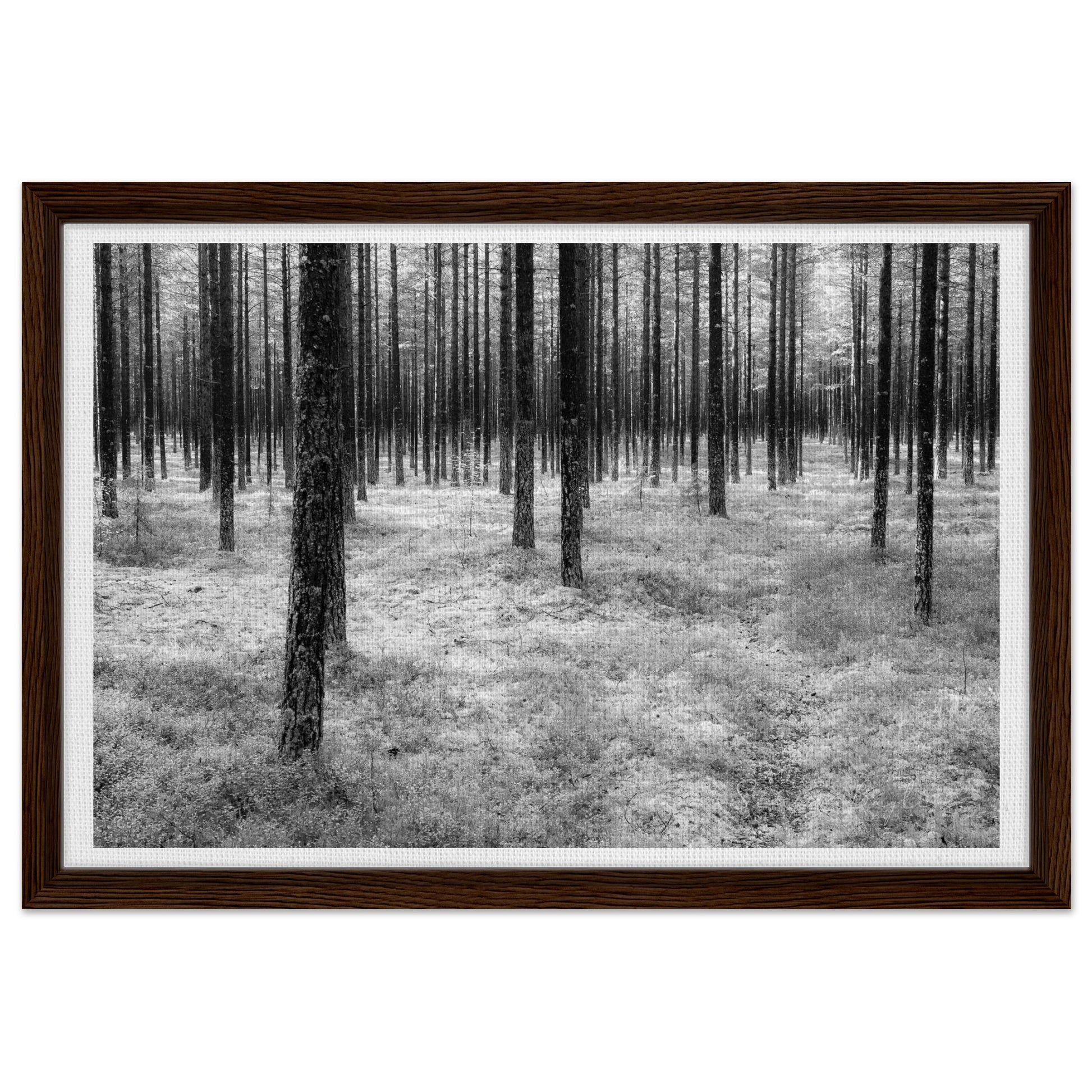 d02f6f4a-80ab-4b42-8785-3204991d4176