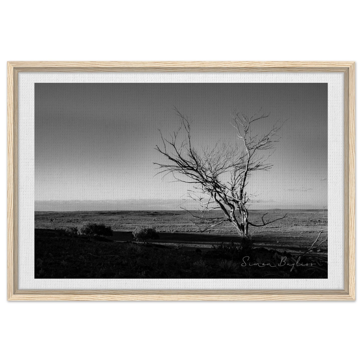 d0baef2b-b26d-4e7f-b38c-d612155fefa9