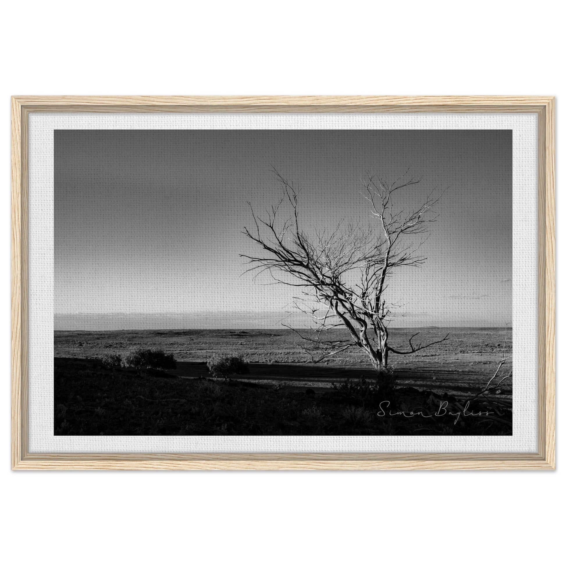 d0baef2b-b26d-4e7f-b38c-d612155fefa9