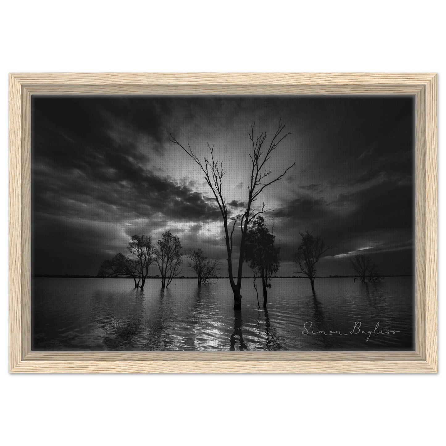 d18983b9-ef84-417c-8c4c-a7d21603d143