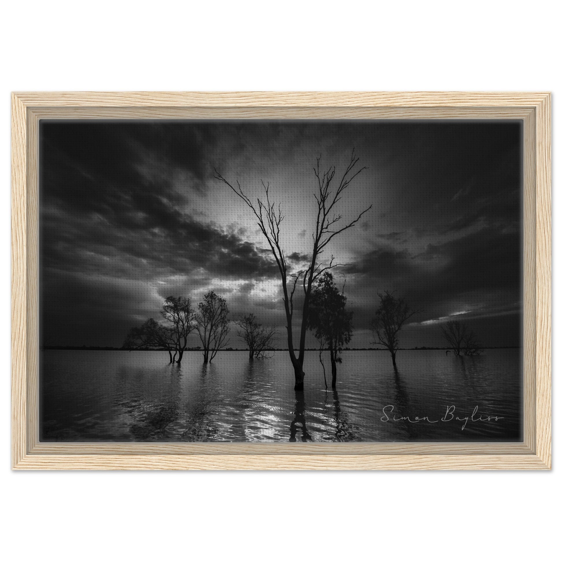 d18983b9-ef84-417c-8c4c-a7d21603d143