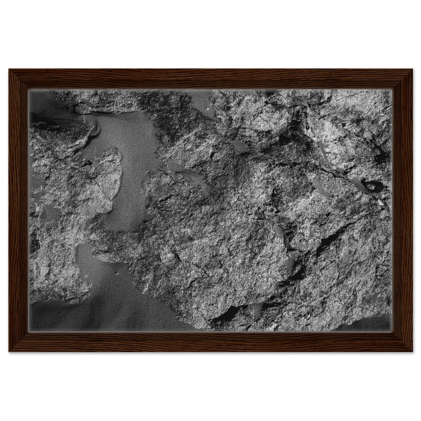 d1c37351-6b17-4e3b-bada-854ed22fdd3c