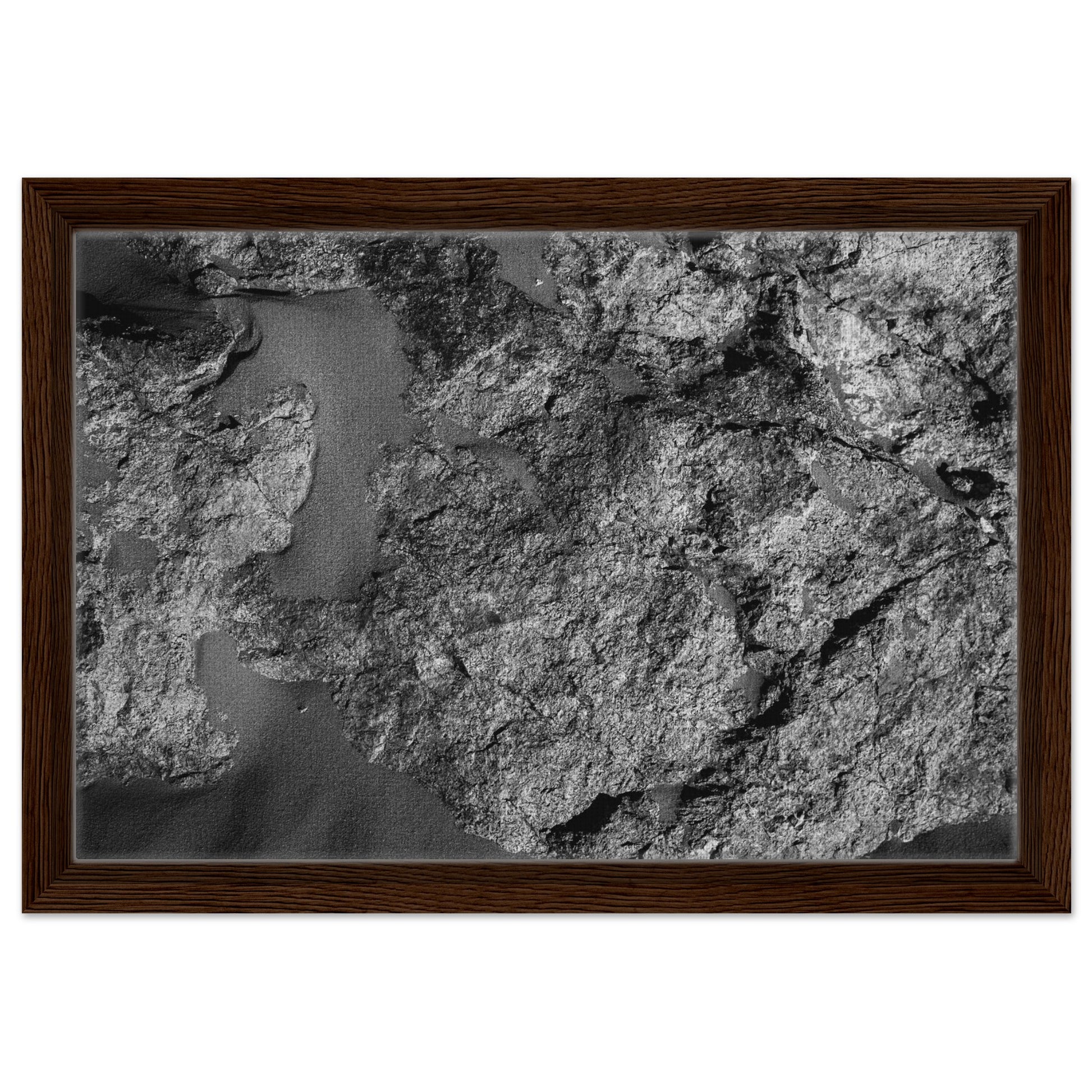 d1c37351-6b17-4e3b-bada-854ed22fdd3c