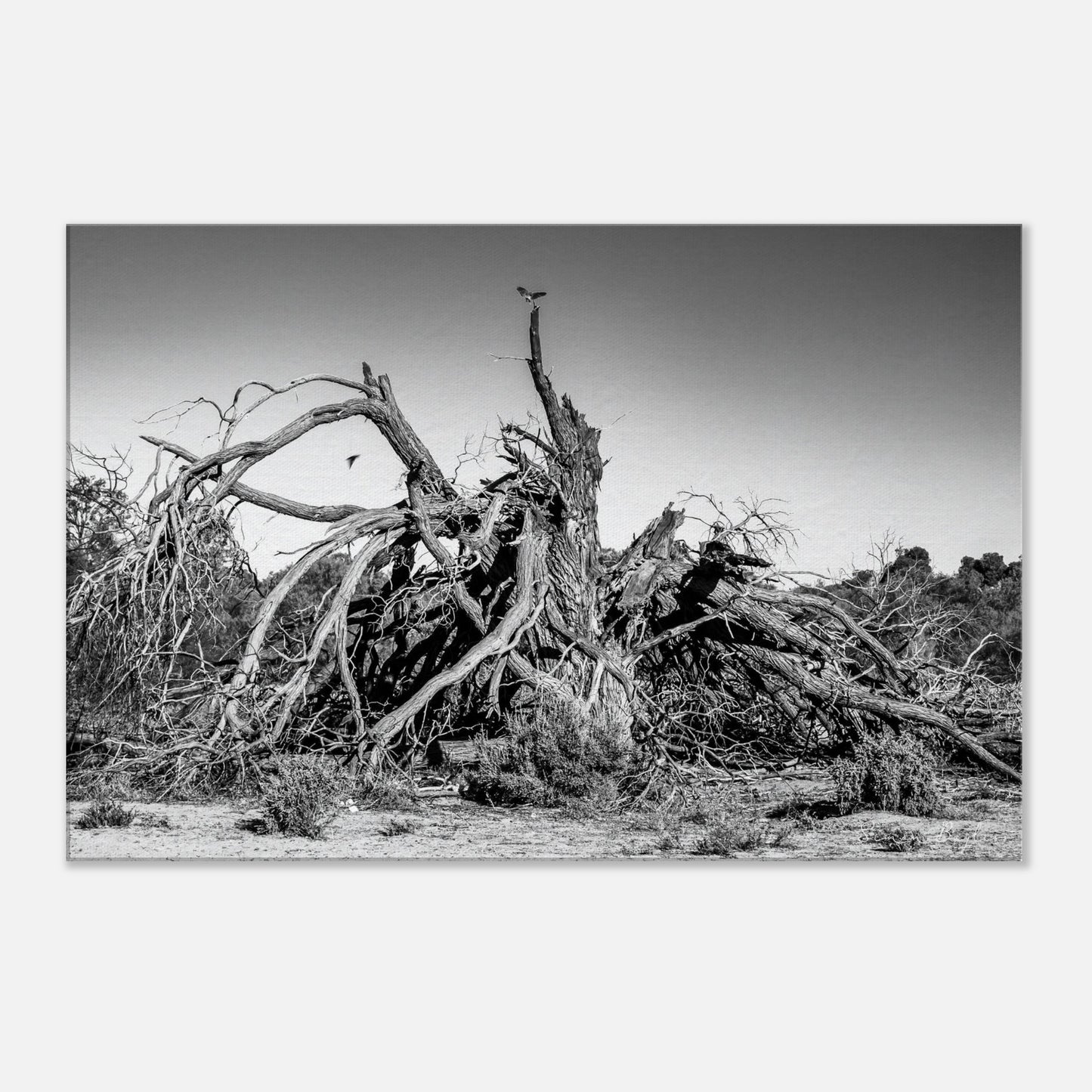 d1c587b6-9c30-4538-bbb5-5fecab8dad30