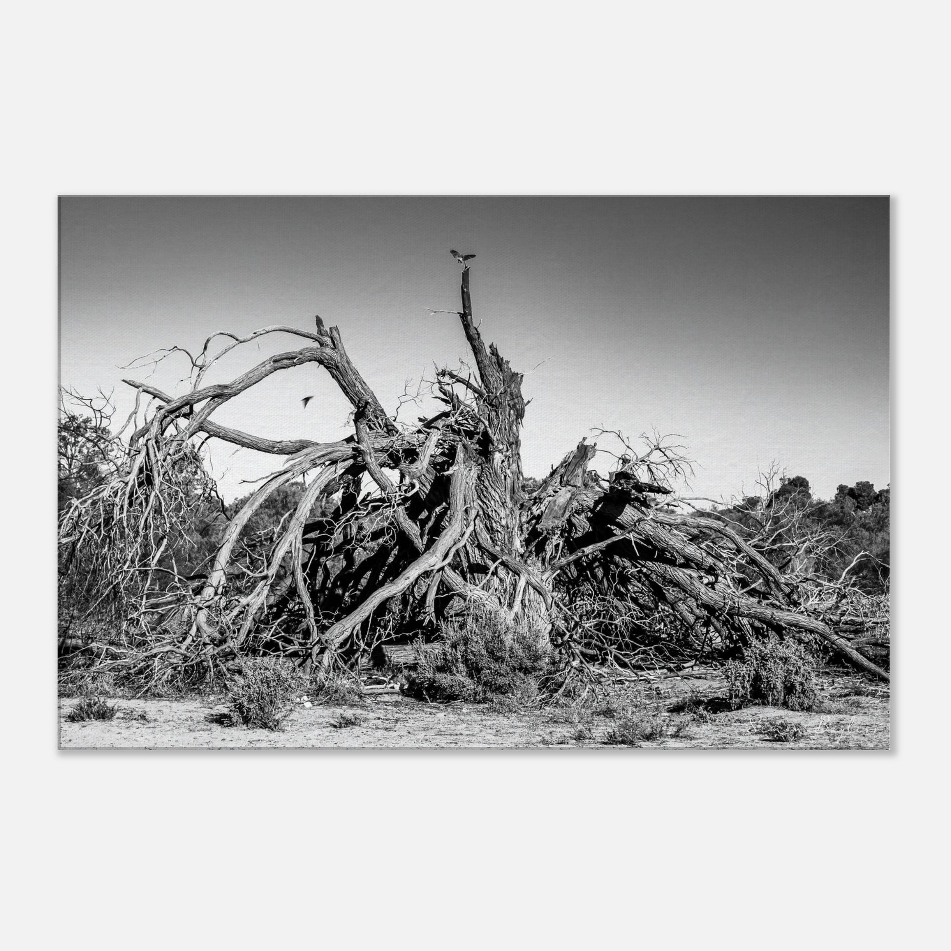 d1c587b6-9c30-4538-bbb5-5fecab8dad30