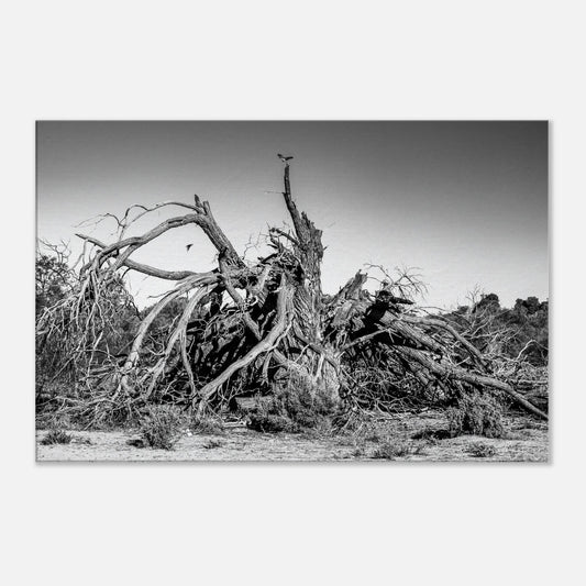 d1c587b6-9c30-4538-bbb5-5fecab8dad30