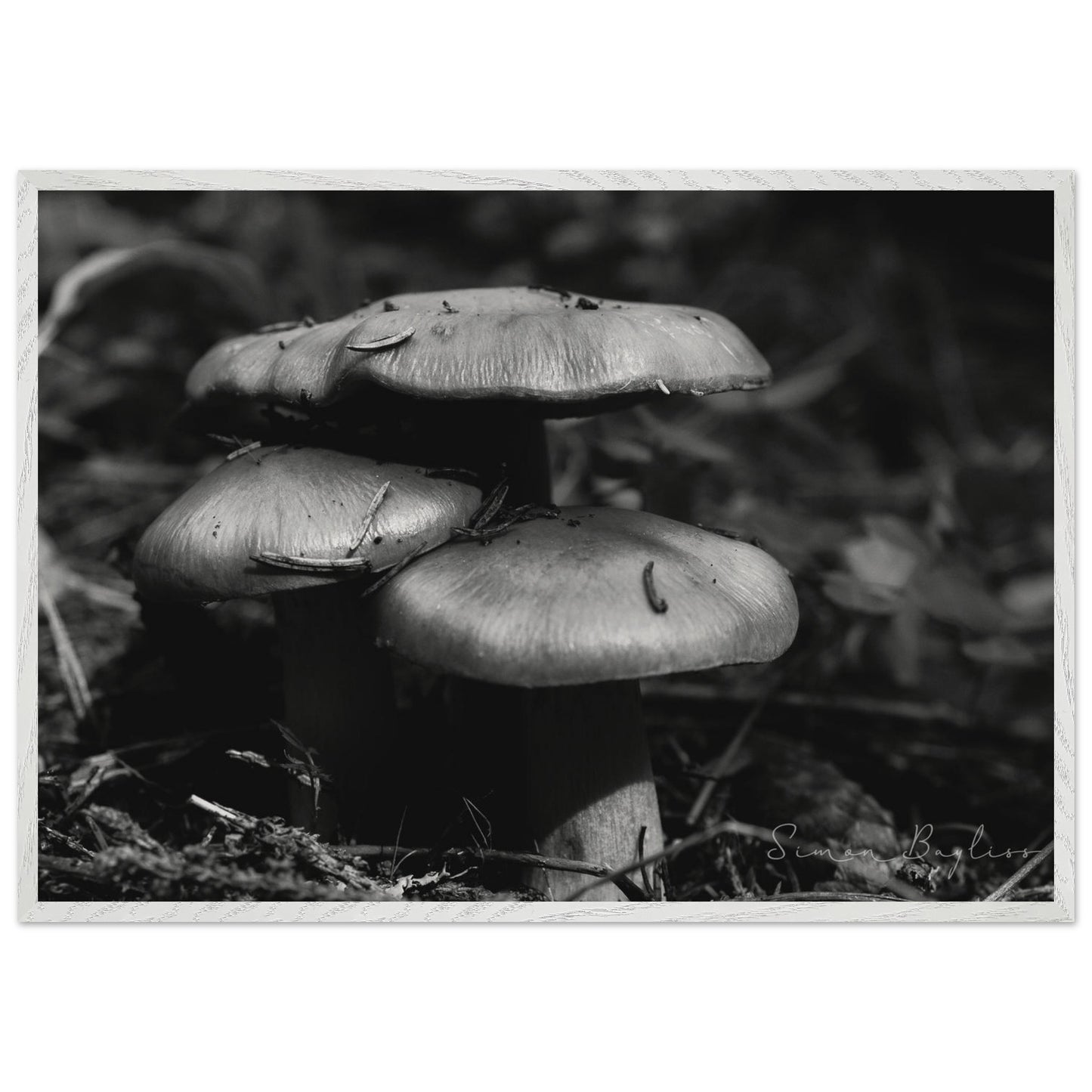 d1f7b0f6-8604-462c-a5b7-38deae6074f3