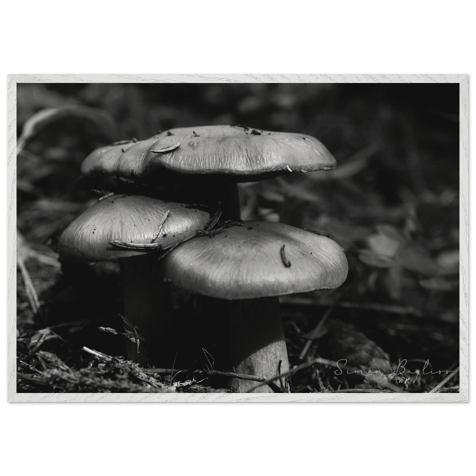 d1f7b0f6-8604-462c-a5b7-38deae6074f3