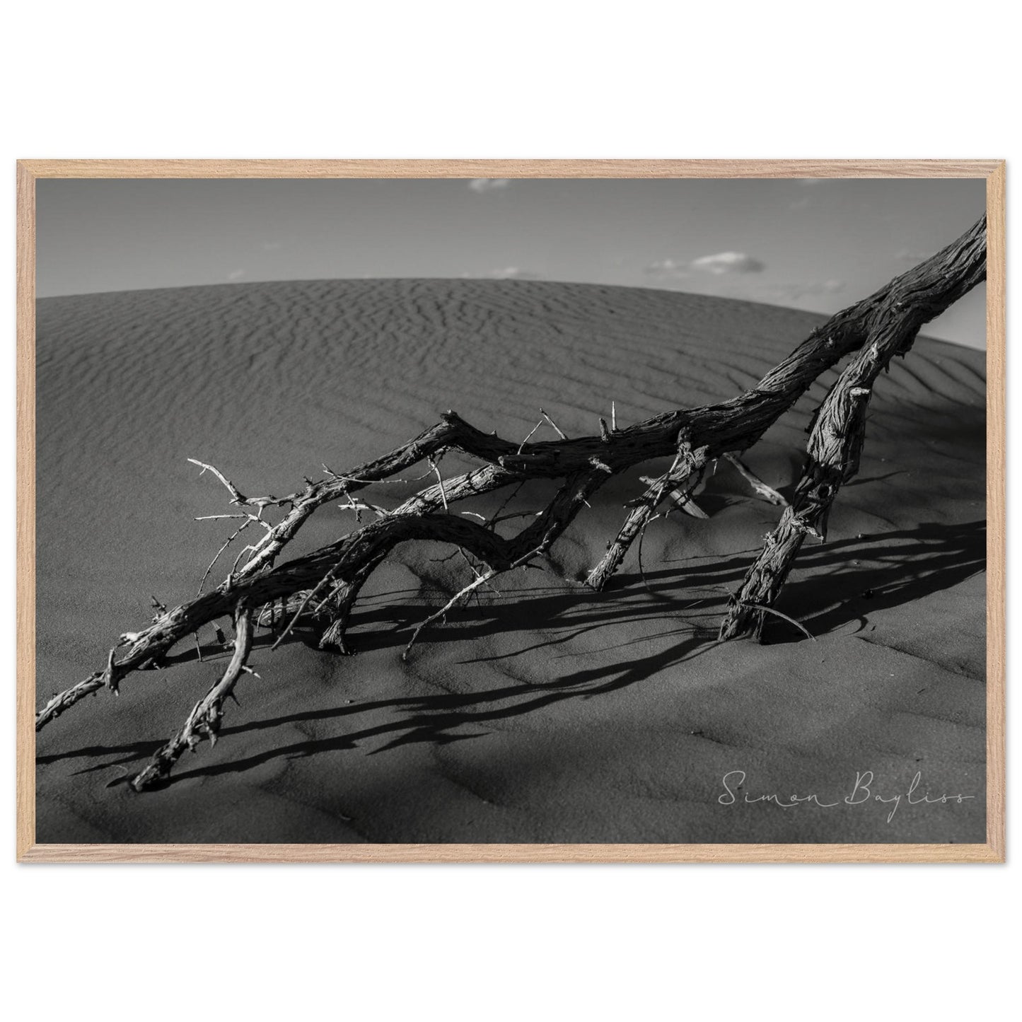 d22f2668-6641-47d9-bc69-68f4e06aab86