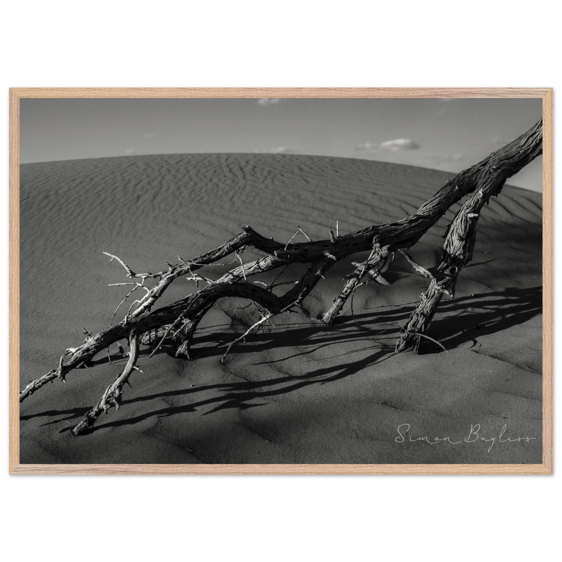 d22f2668-6641-47d9-bc69-68f4e06aab86