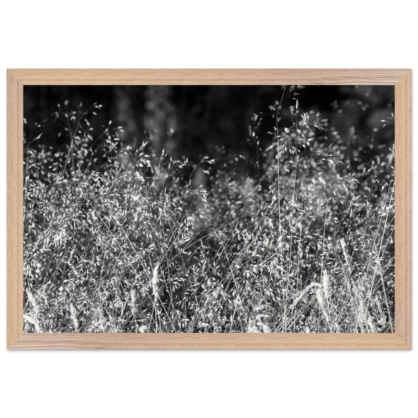 d278e4b3-1301-448d-983c-5ea553c7d603