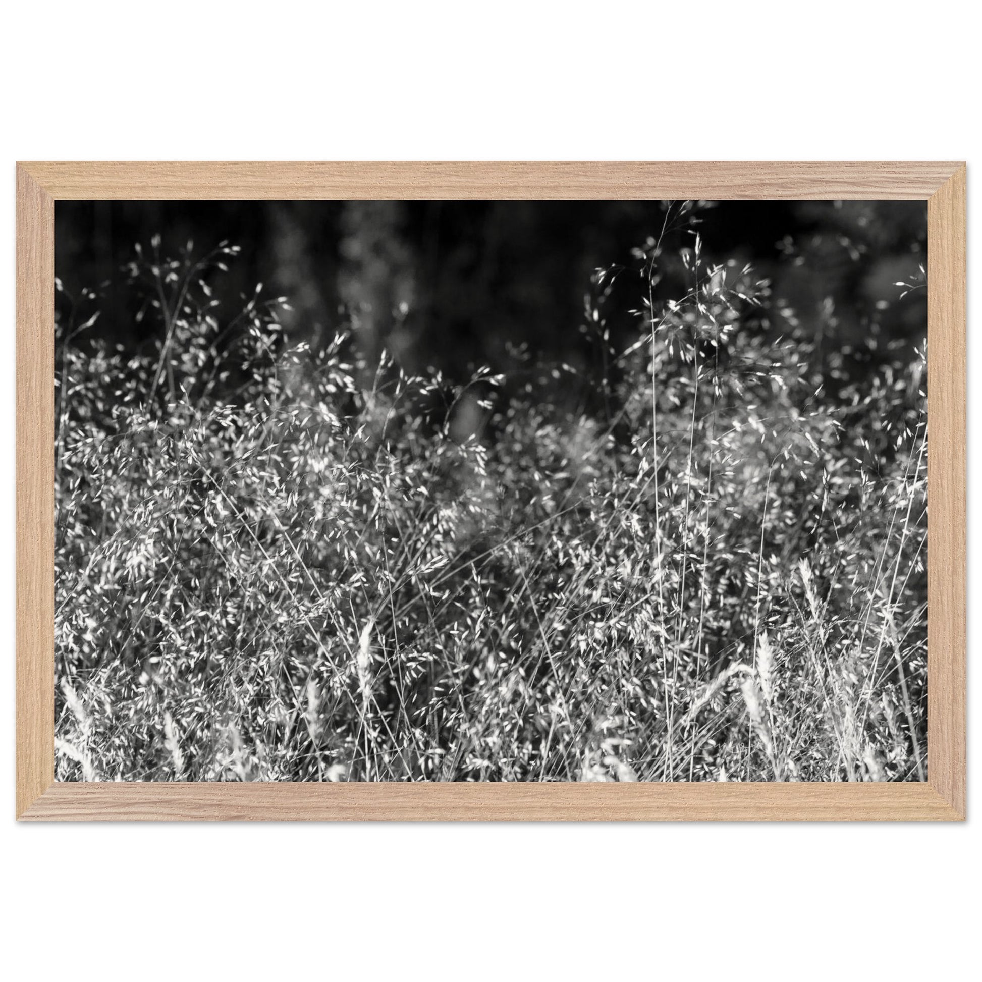 d278e4b3-1301-448d-983c-5ea553c7d603