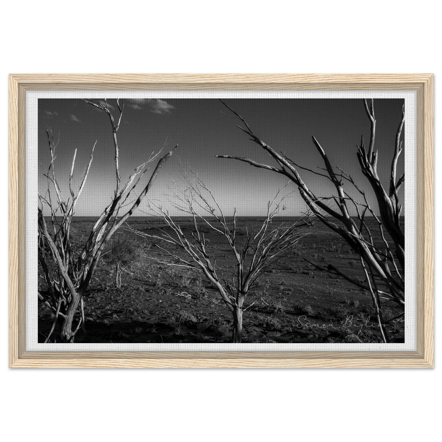 d2cae9d5-64d0-4192-b1b8-50ddec6f9253