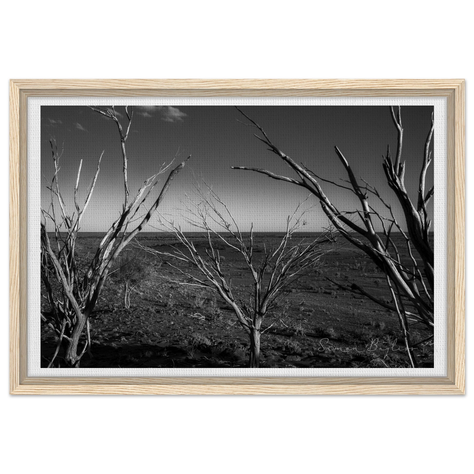 d2cae9d5-64d0-4192-b1b8-50ddec6f9253