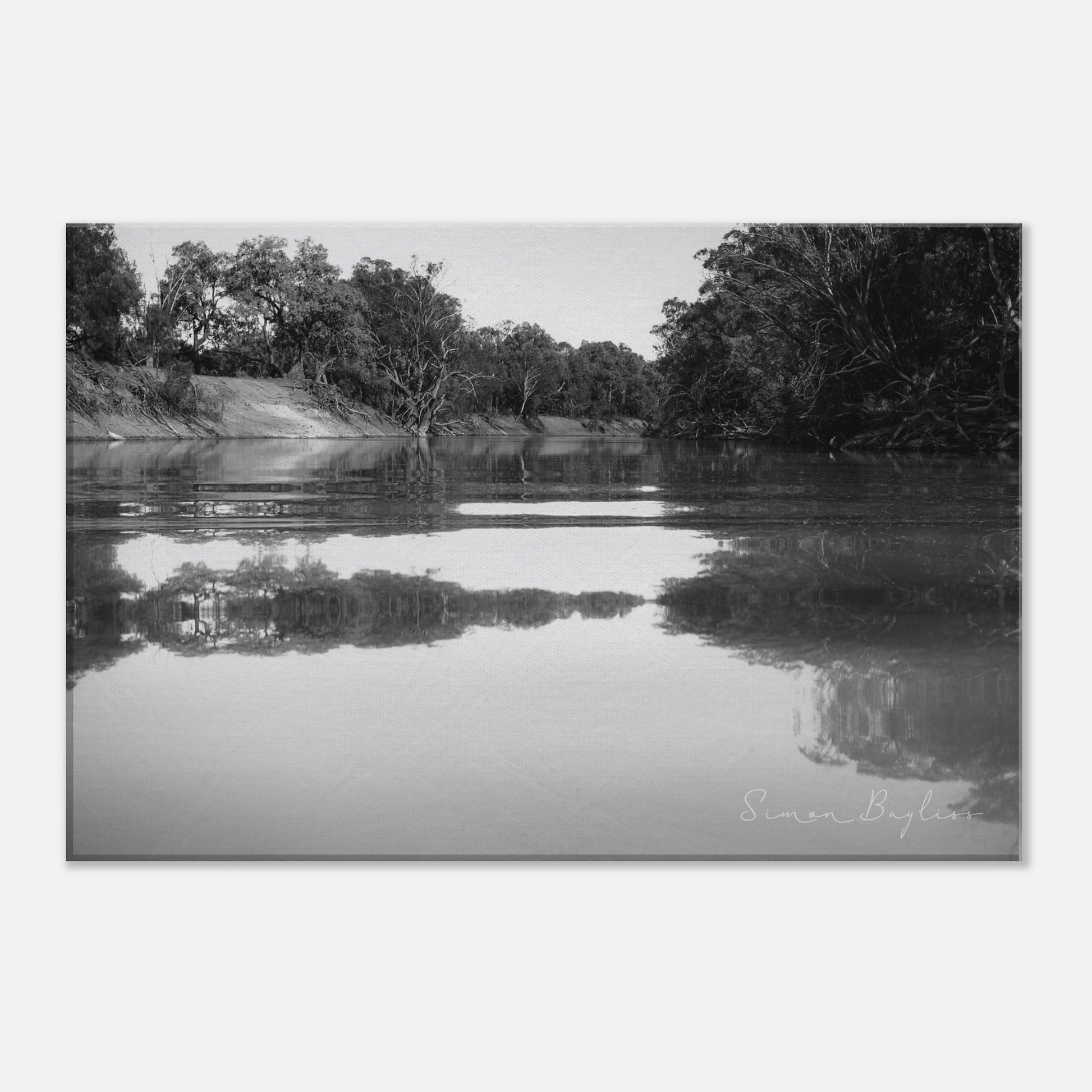 d310ce7c-f04c-4555-8495-2e7daa3ddb44