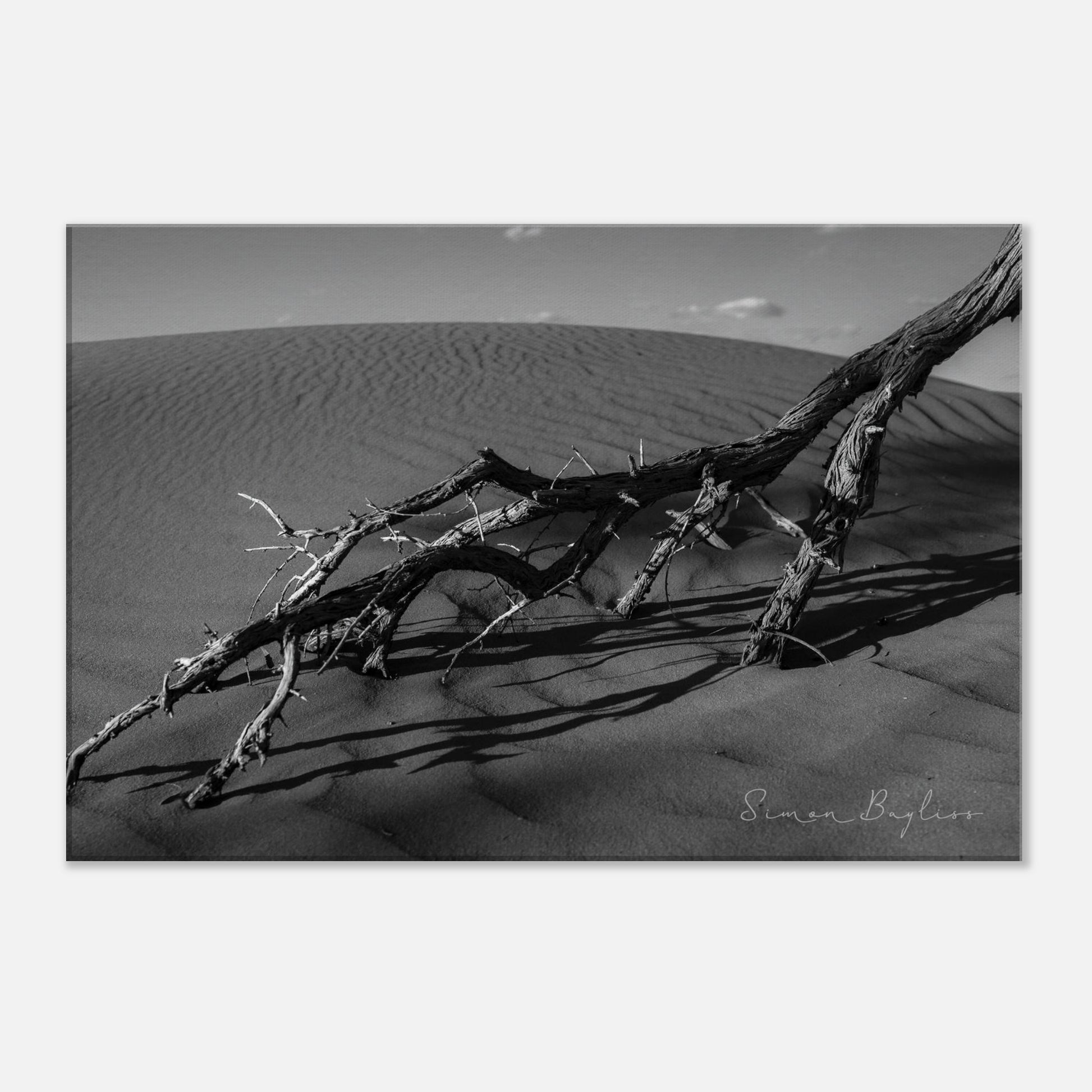 d3bd1879-beeb-4290-a309-98524529b0fa