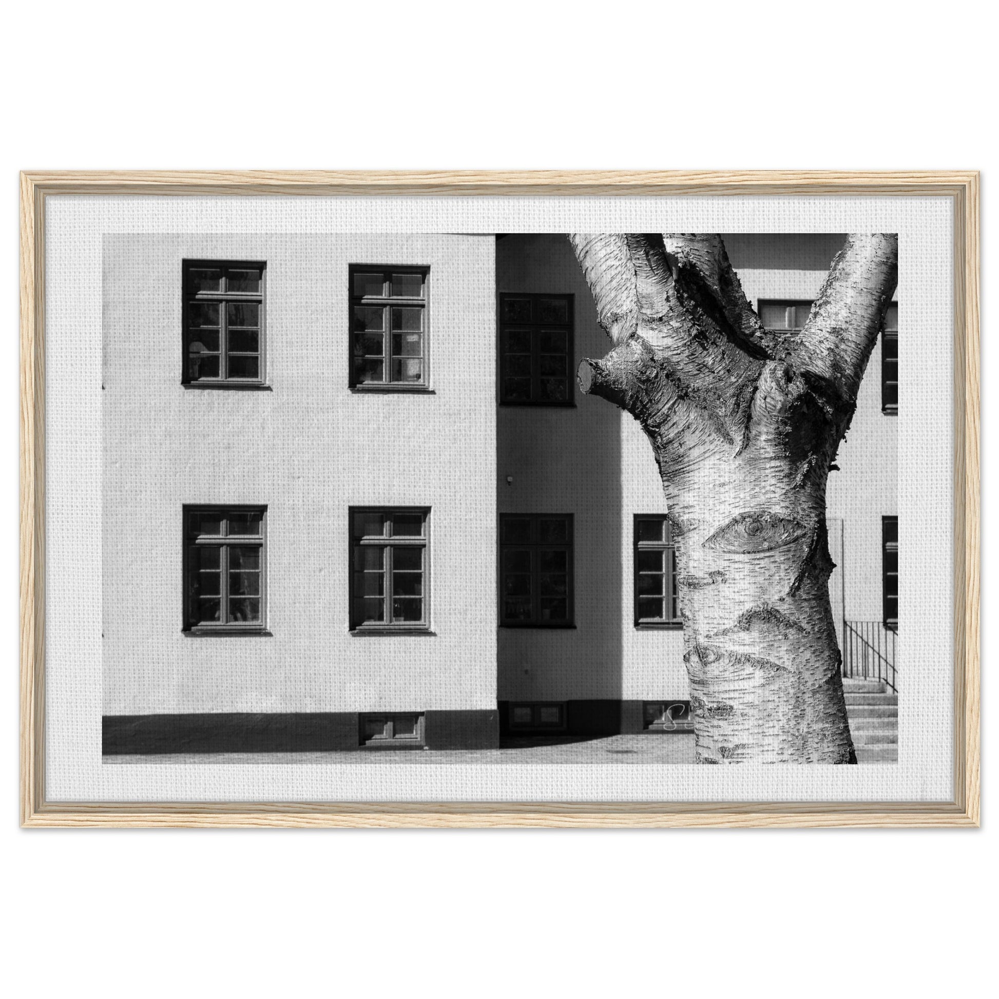 d40729b9-92a5-48b2-aa79-002e0d803c84