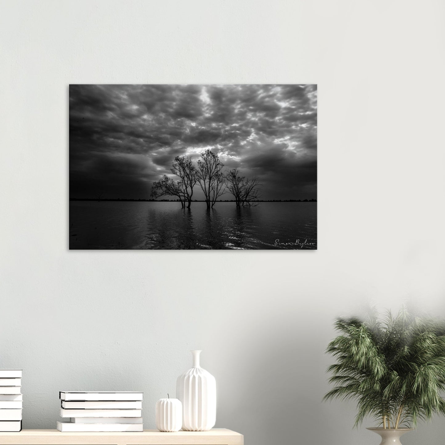 d474ec0d-e728-4cff-acb5-44678ec87a64