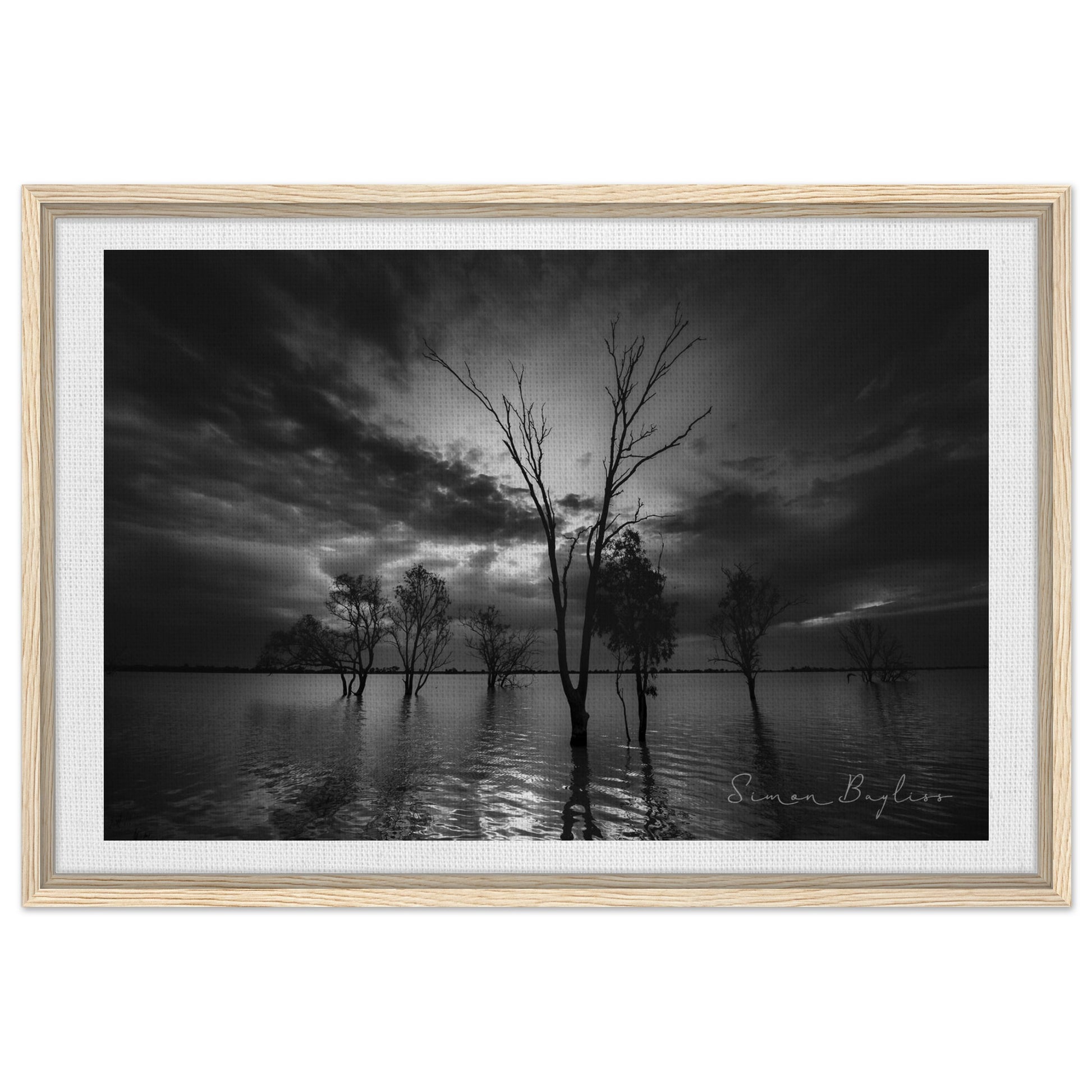 d4a5178e-b311-4dc4-a725-6ff17ce27953