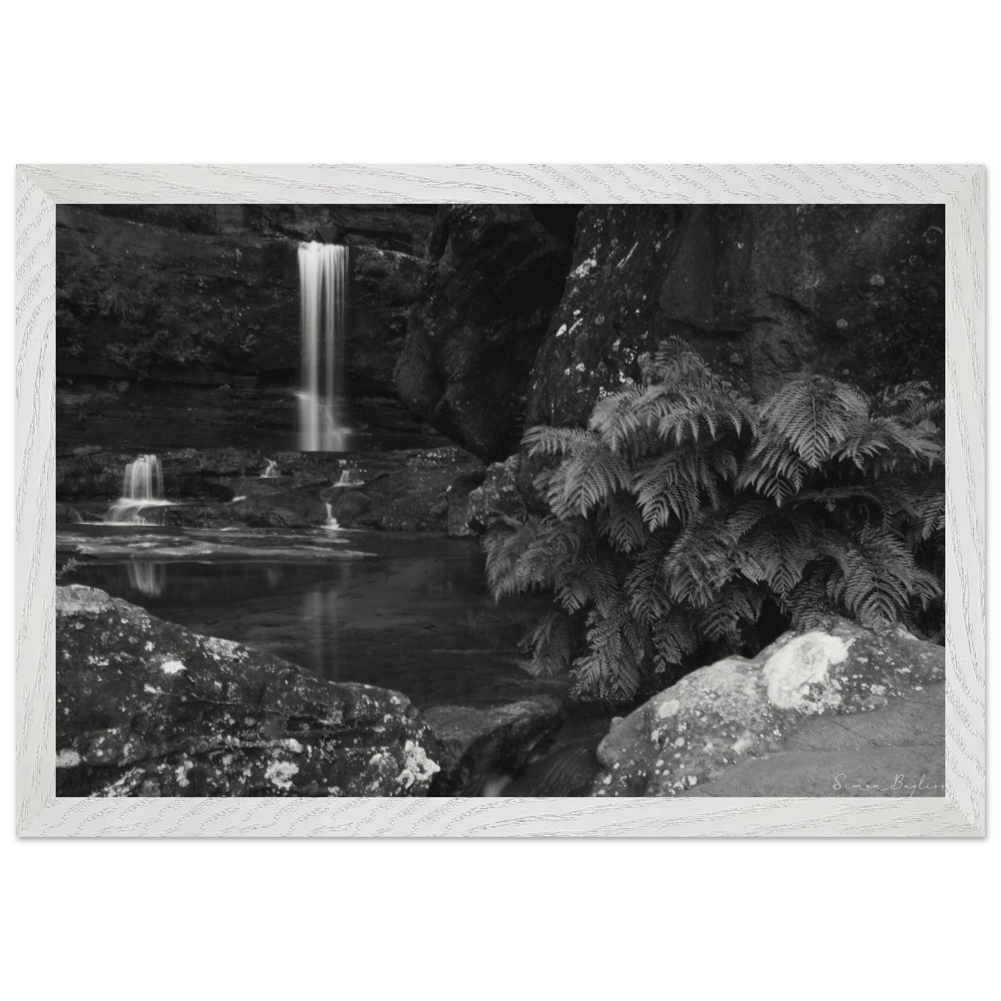 d4bc2e72-8ffa-4dba-a788-c23f0d69865a