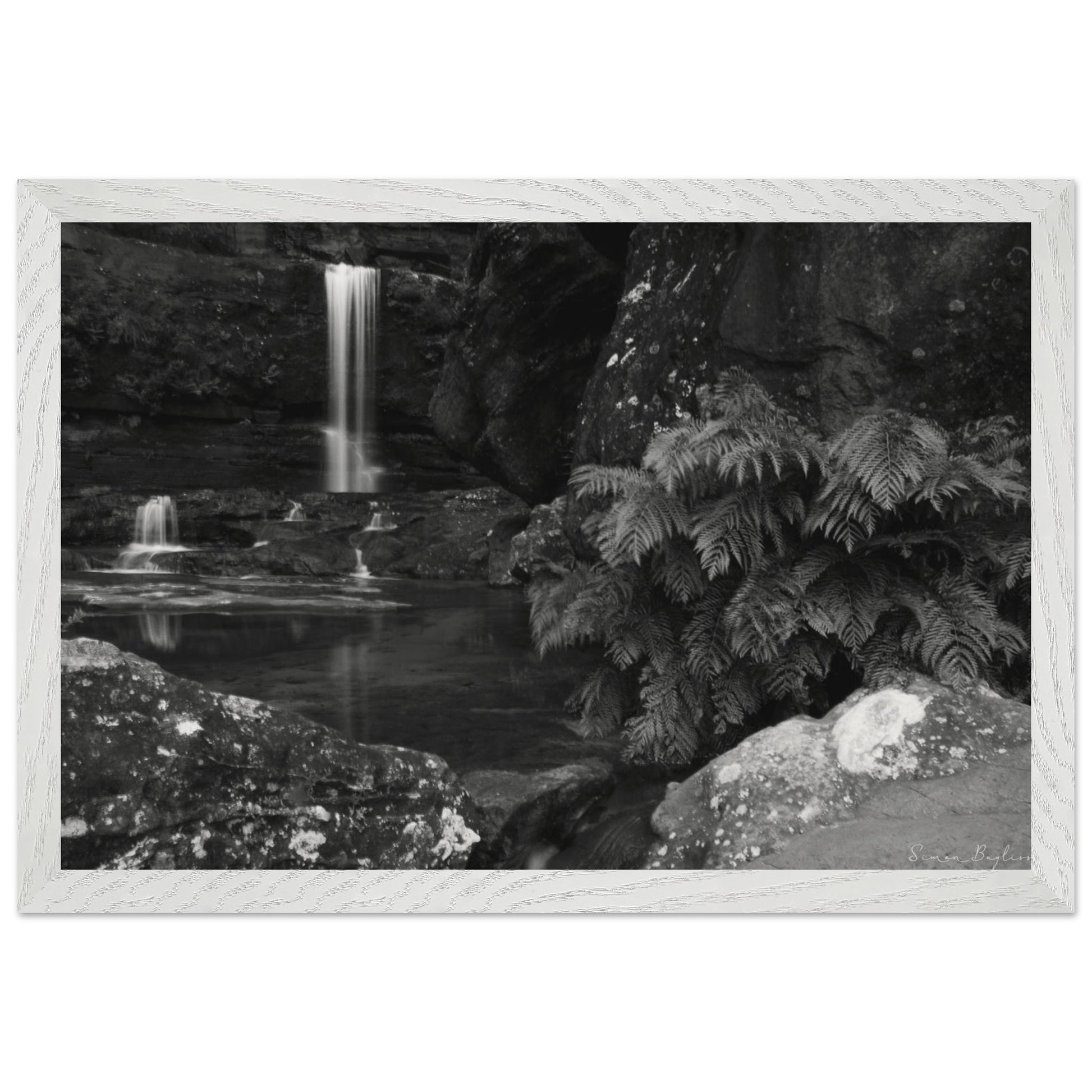 d4bc2e72-8ffa-4dba-a788-c23f0d69865a