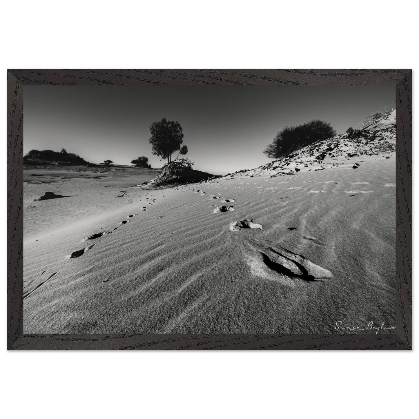 d54fccc3-a095-4529-acc2-653f15d467e7