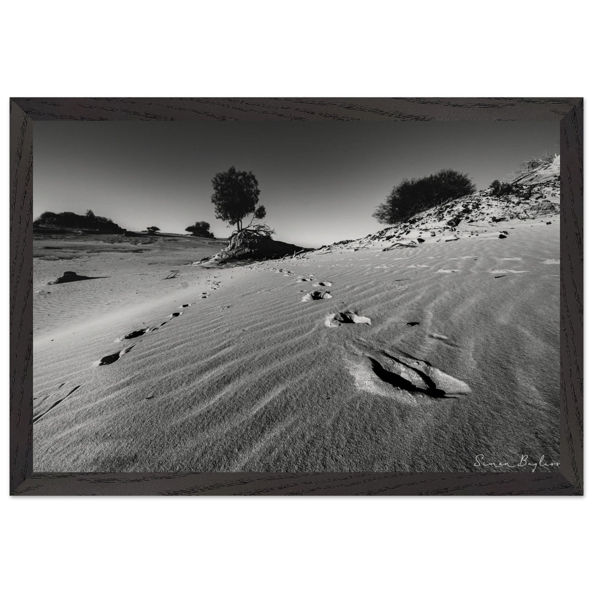 d54fccc3-a095-4529-acc2-653f15d467e7