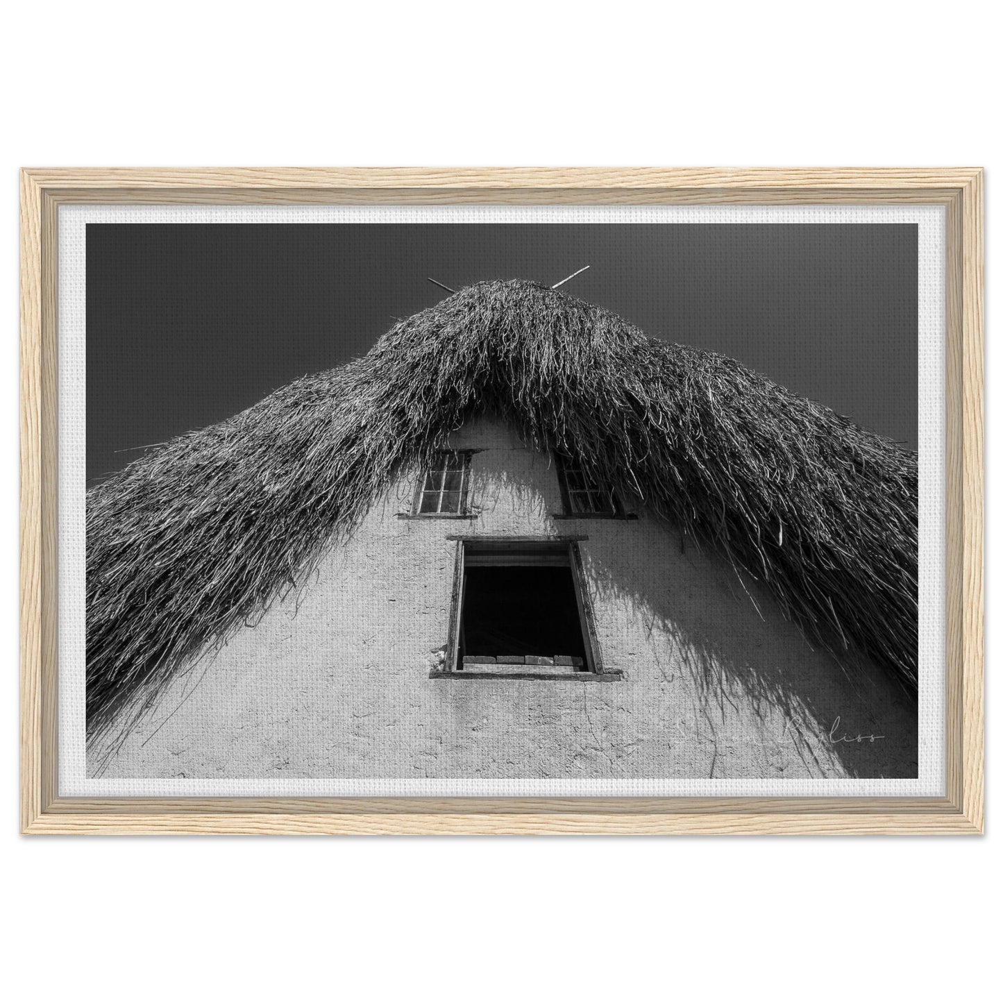 d566d07b-3877-4480-ba55-0ce64111301c