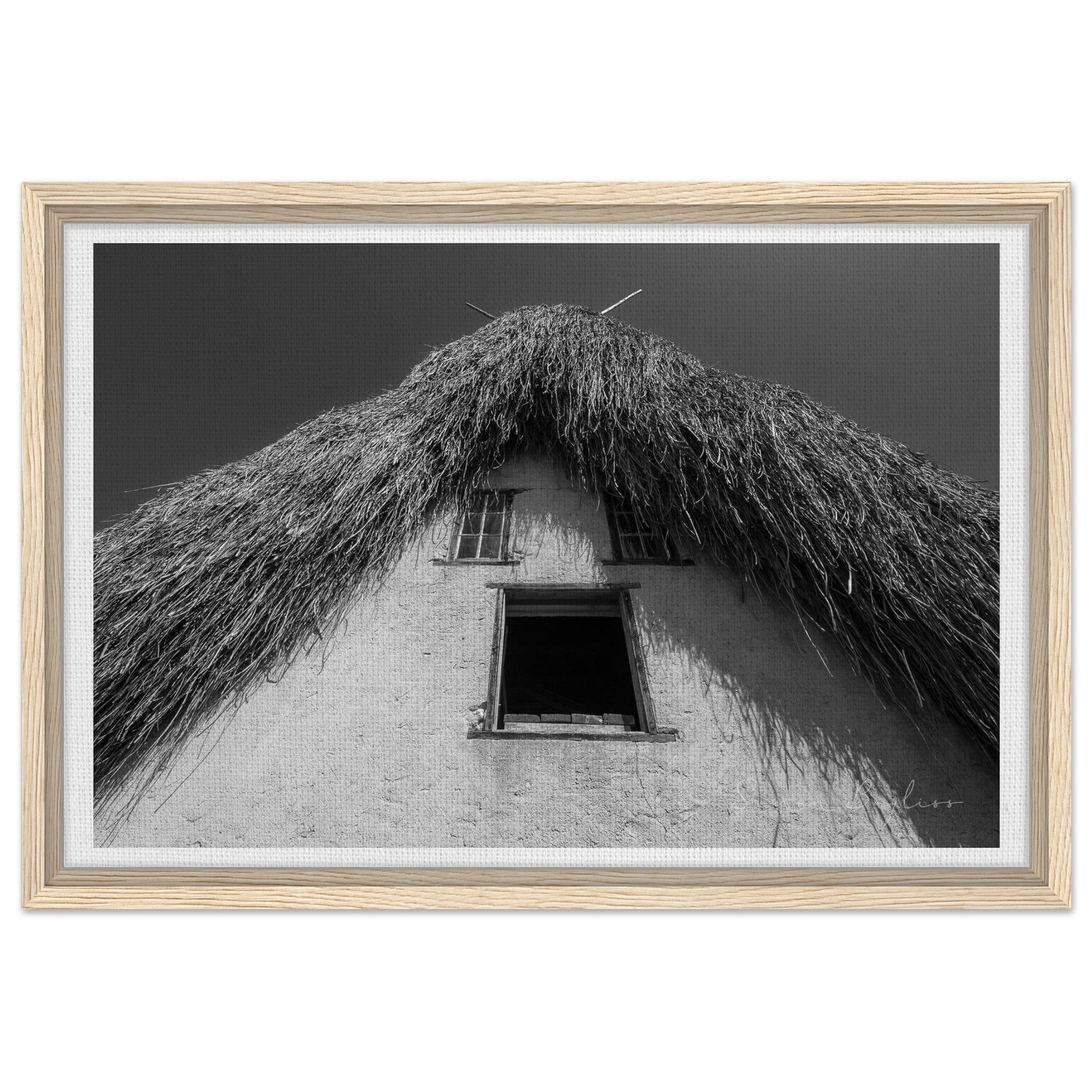 d566d07b-3877-4480-ba55-0ce64111301c