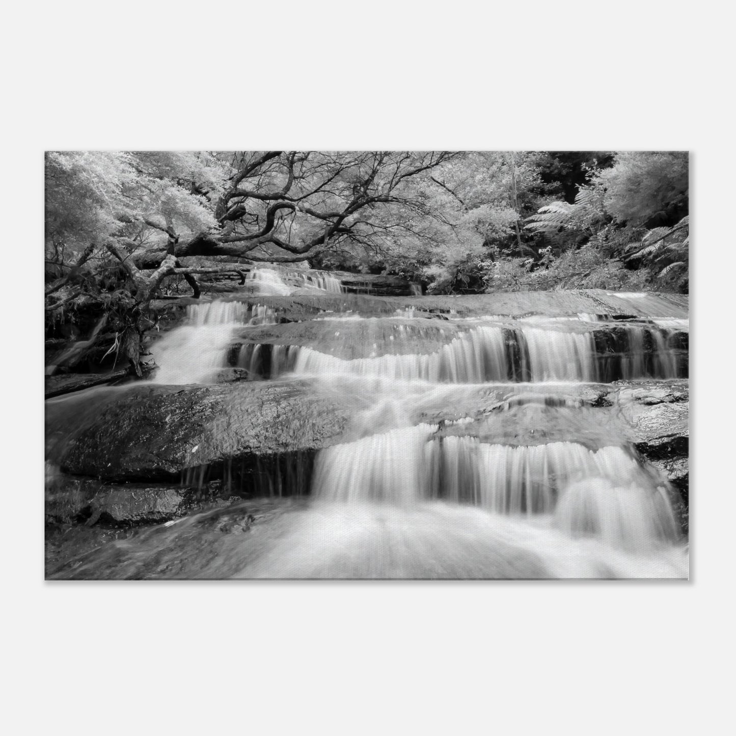 d576fed8-c9b1-43a2-80e9-d5df7b31e494