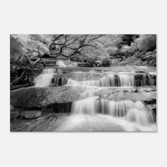 d576fed8-c9b1-43a2-80e9-d5df7b31e494