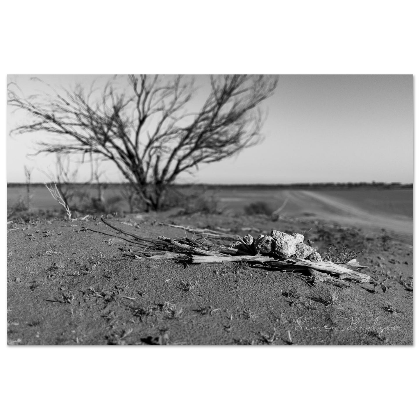 d5e55b03-2137-414a-bc73-dc10e073506c