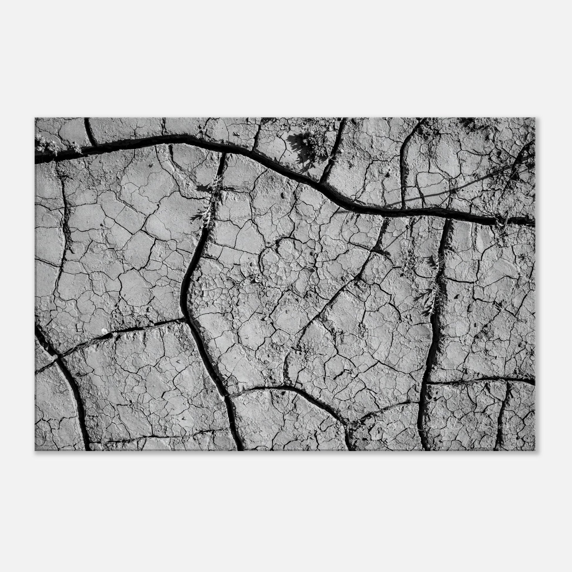 d6271aa3-490b-47b1-8899-763ab59dfa08