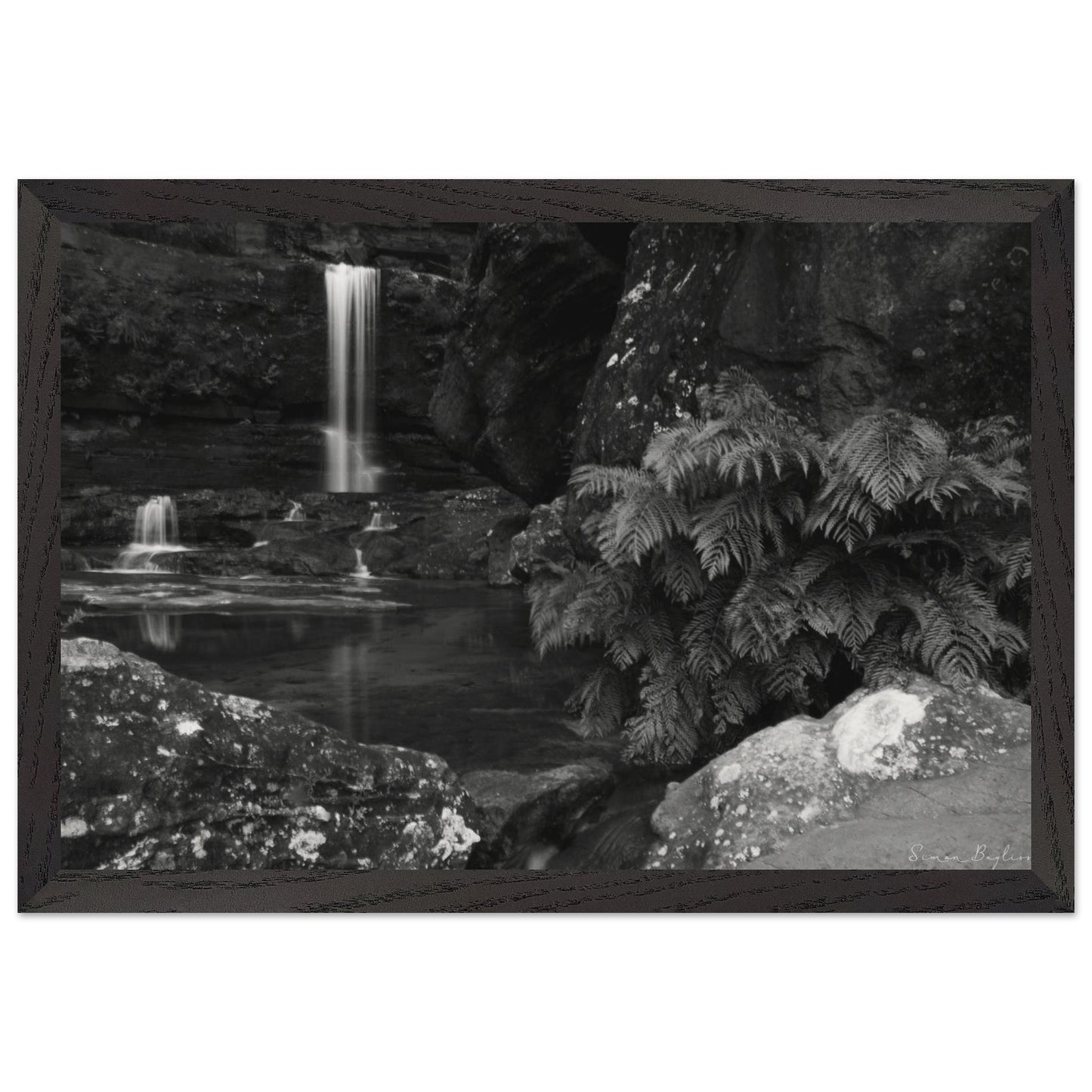 d71bea54-973b-46d5-bfe2-5ae9089026e7