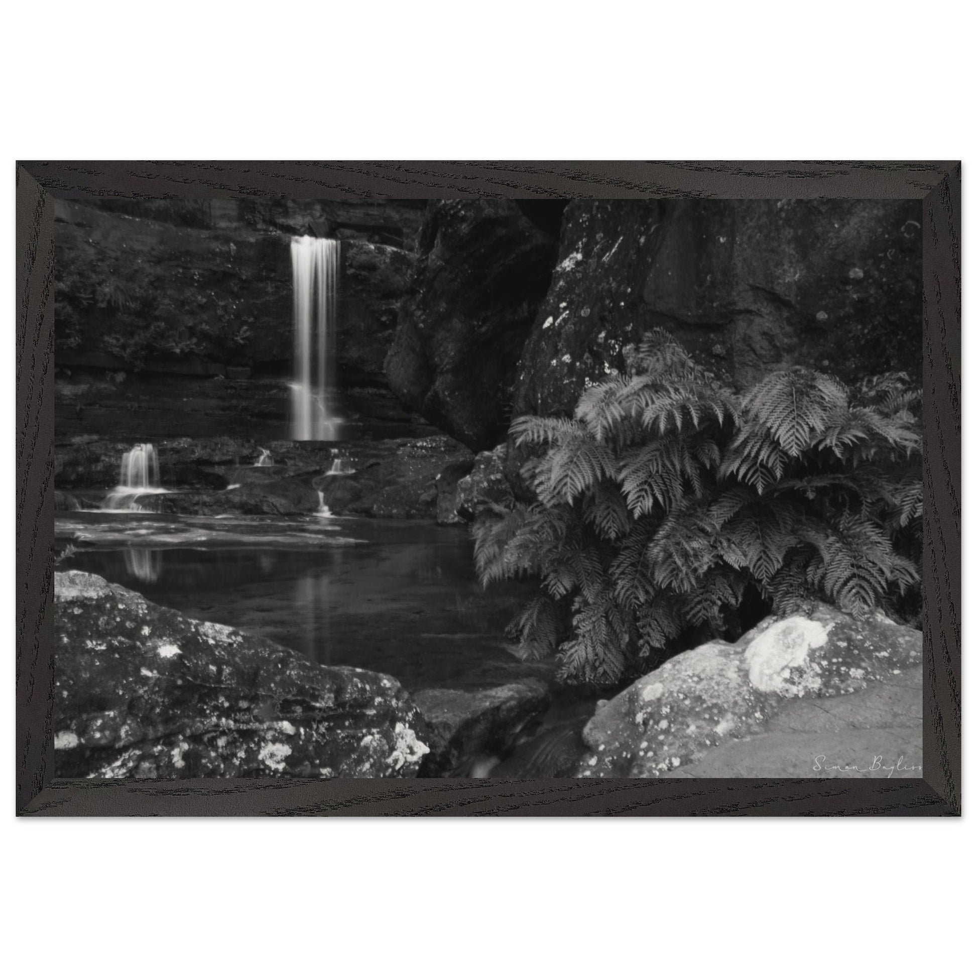 d71bea54-973b-46d5-bfe2-5ae9089026e7