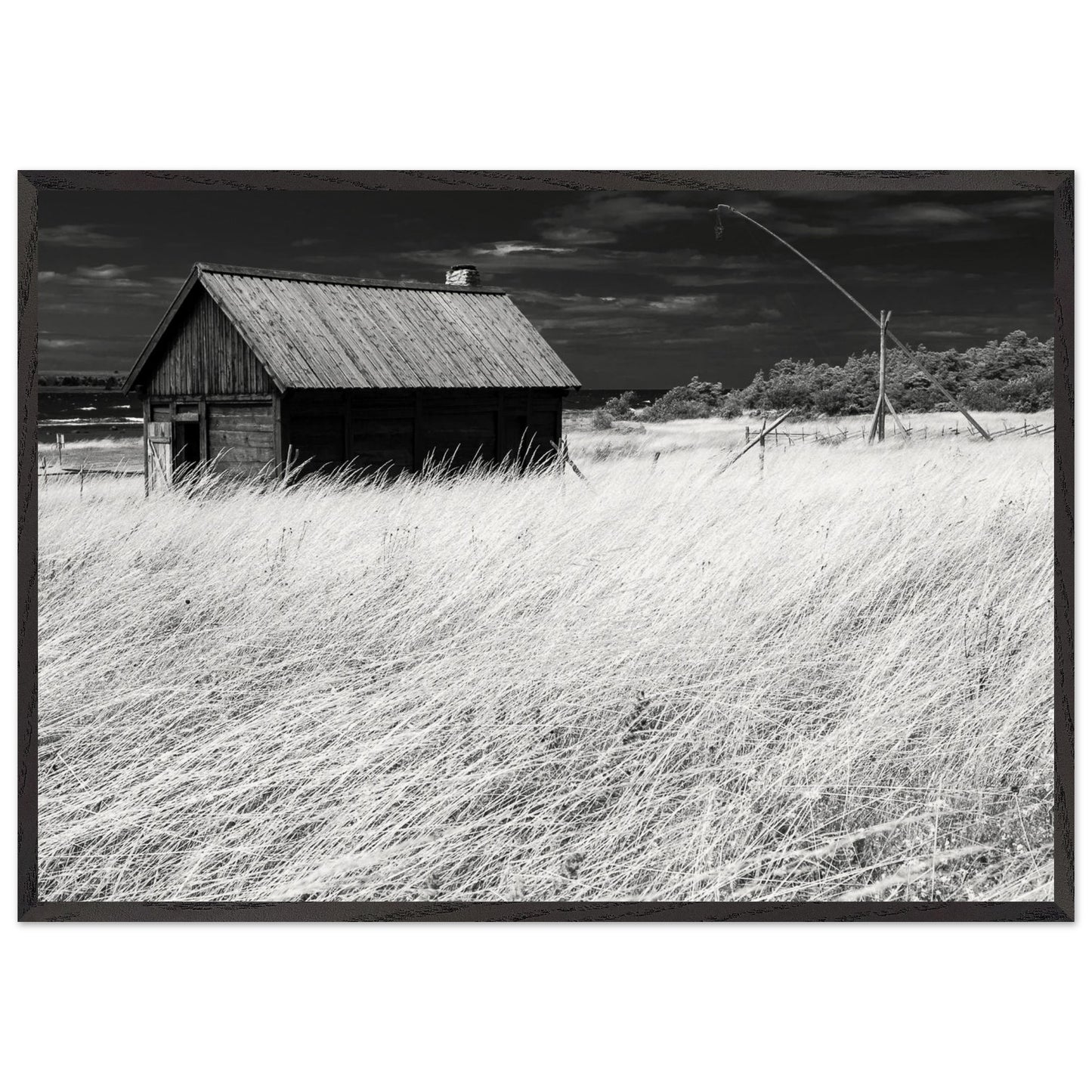 d72340e0-97af-4f9a-861e-2c7efc1186ab