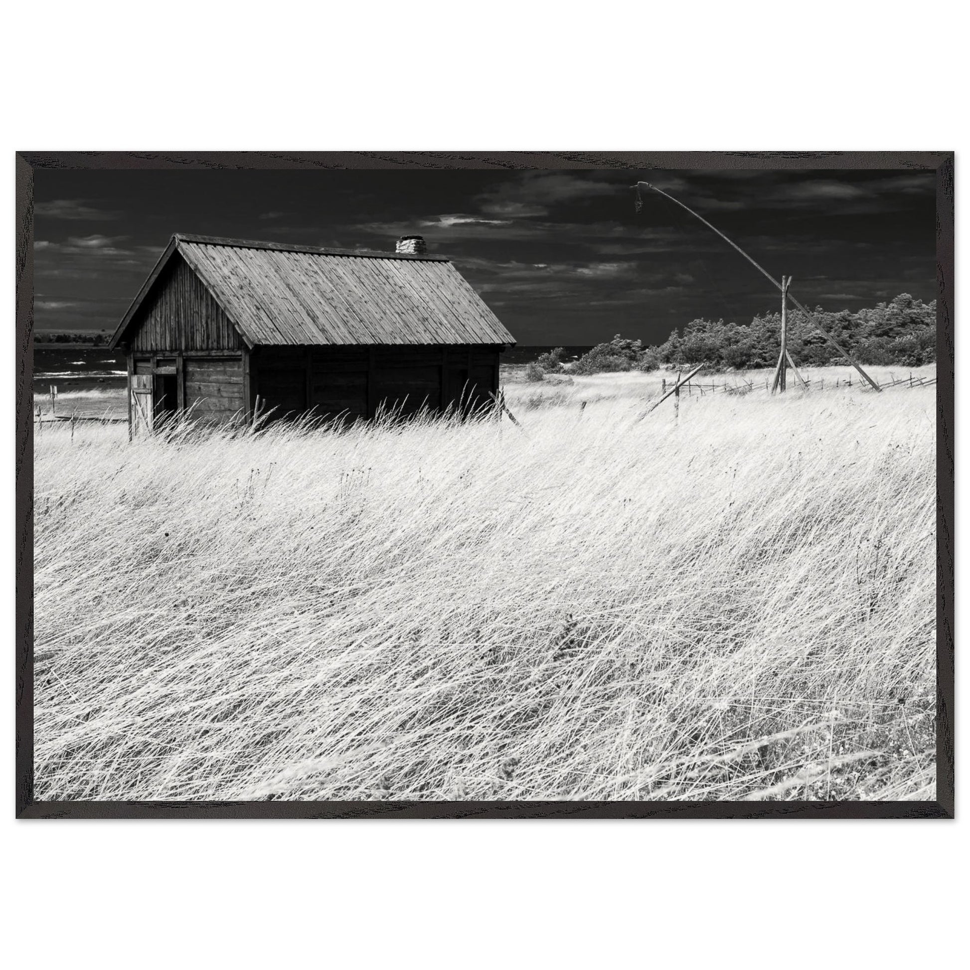 d72340e0-97af-4f9a-861e-2c7efc1186ab