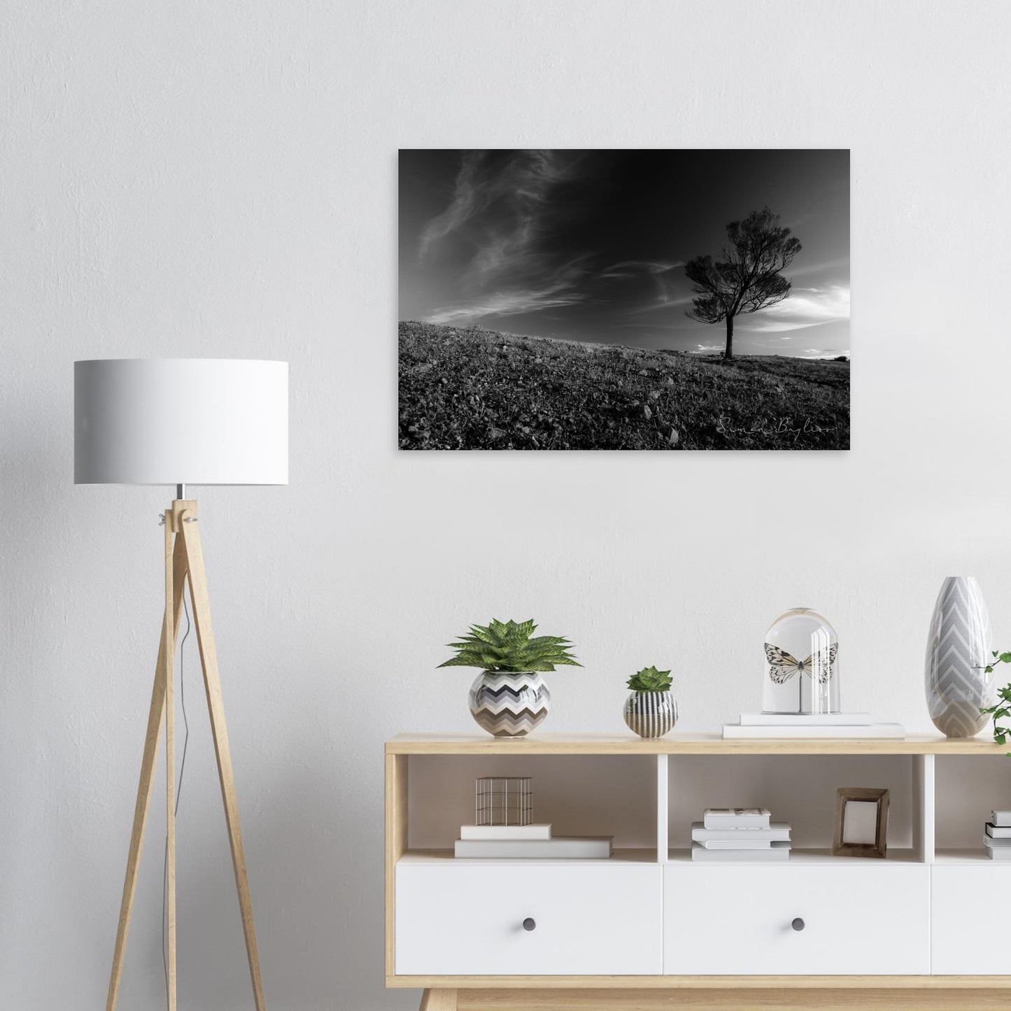 d728f00d-9dd7-484a-b944-8a1f4b1064eb