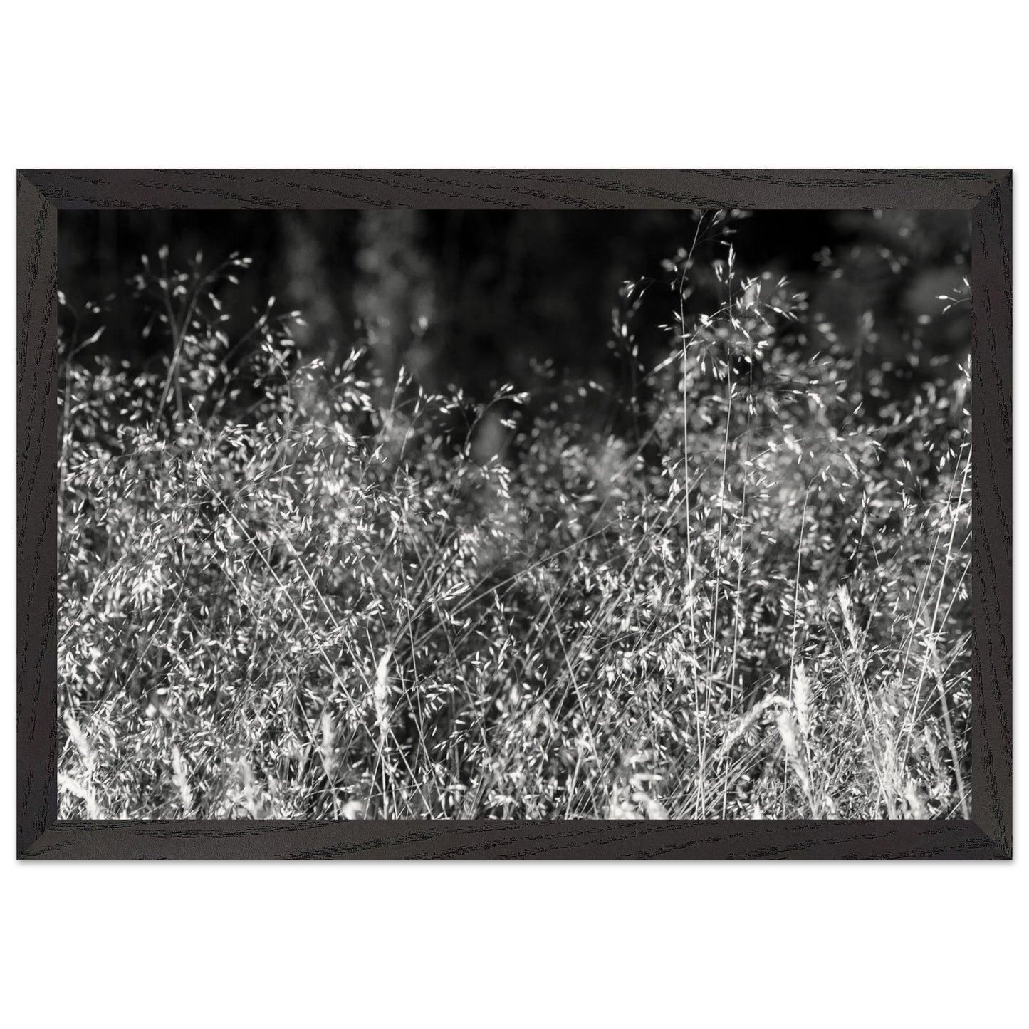 d752d1c9-db09-4acc-a2c9-712ef6a6adbd