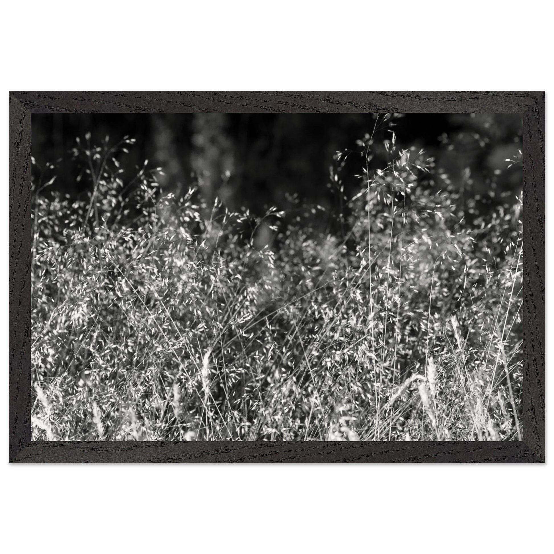 d752d1c9-db09-4acc-a2c9-712ef6a6adbd