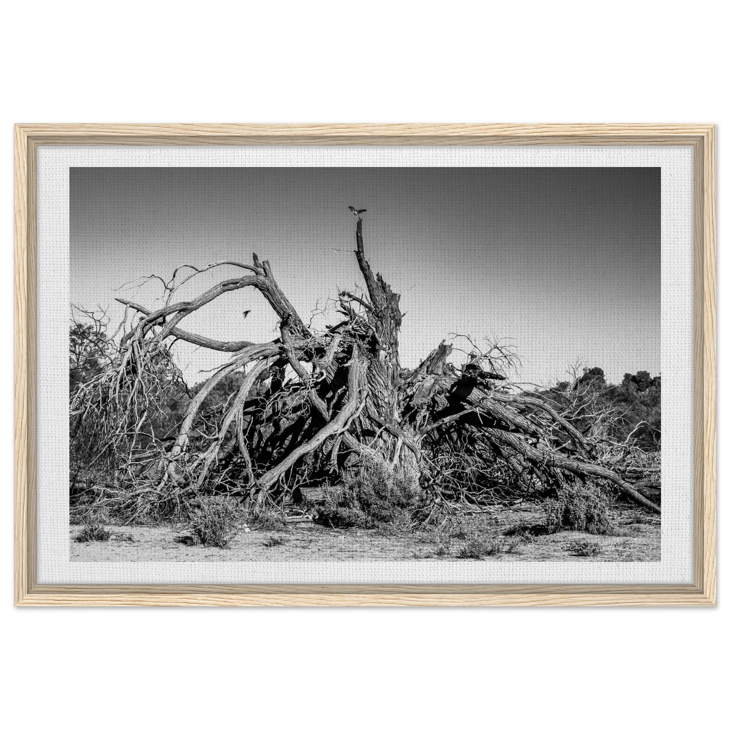 d7642235-c2ee-4300-b12c-393774b4692e