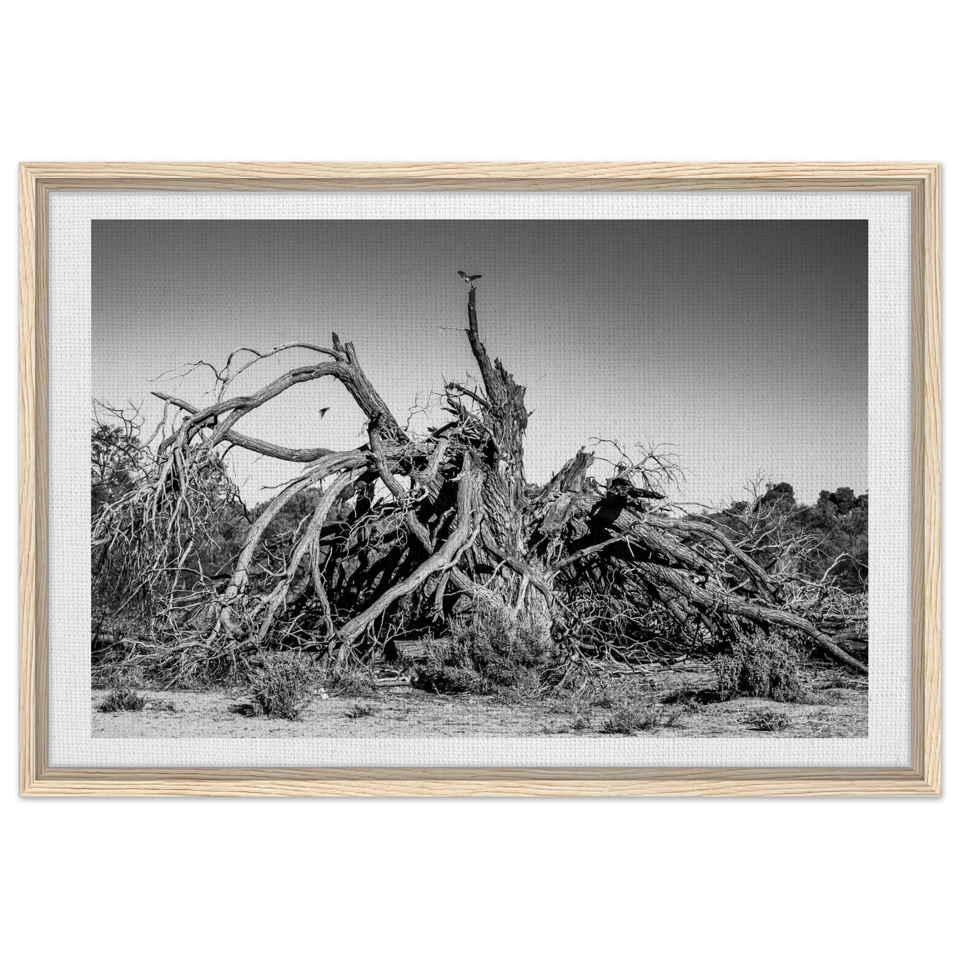 d7642235-c2ee-4300-b12c-393774b4692e