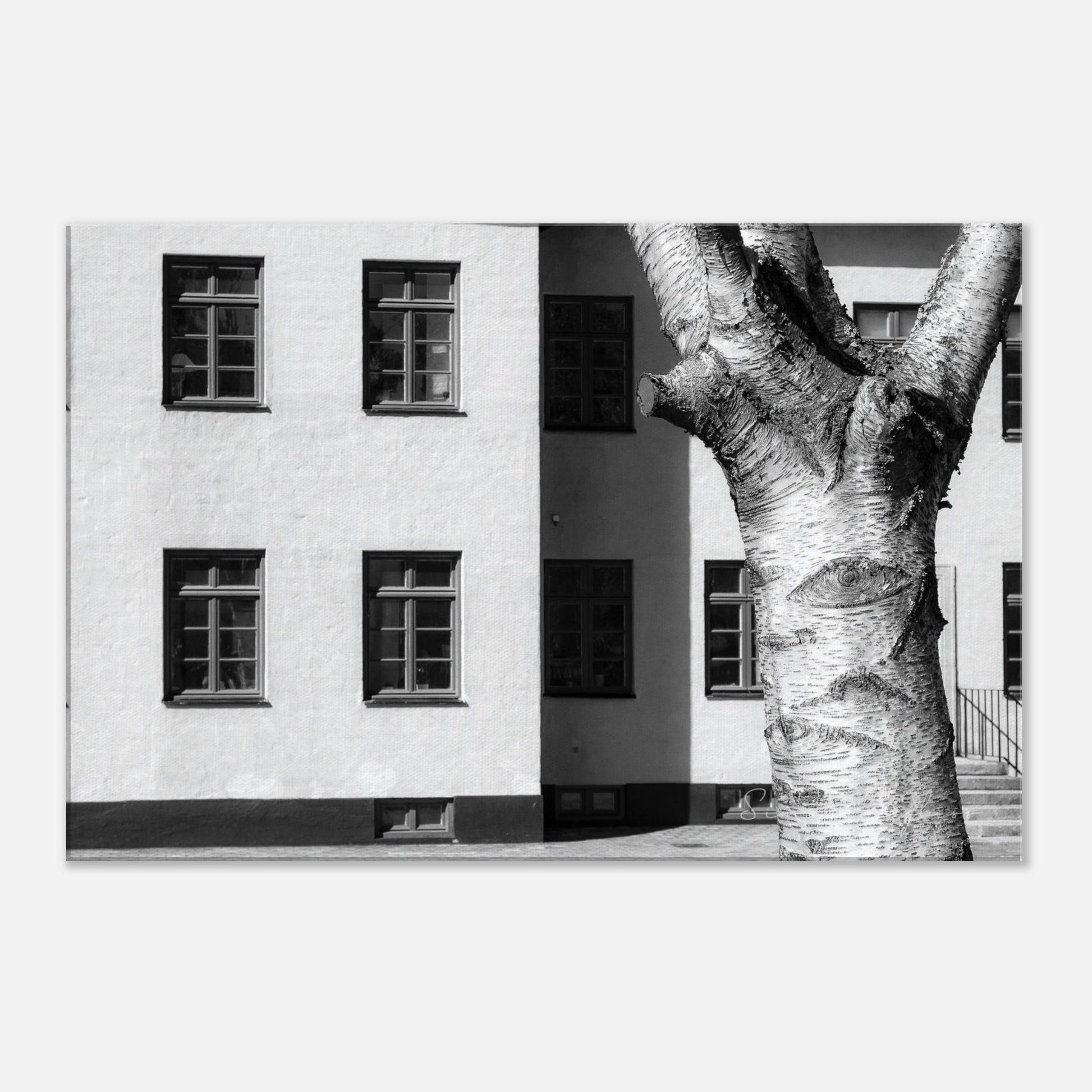 d862cf31-ae6c-44fb-9930-faee527f806f