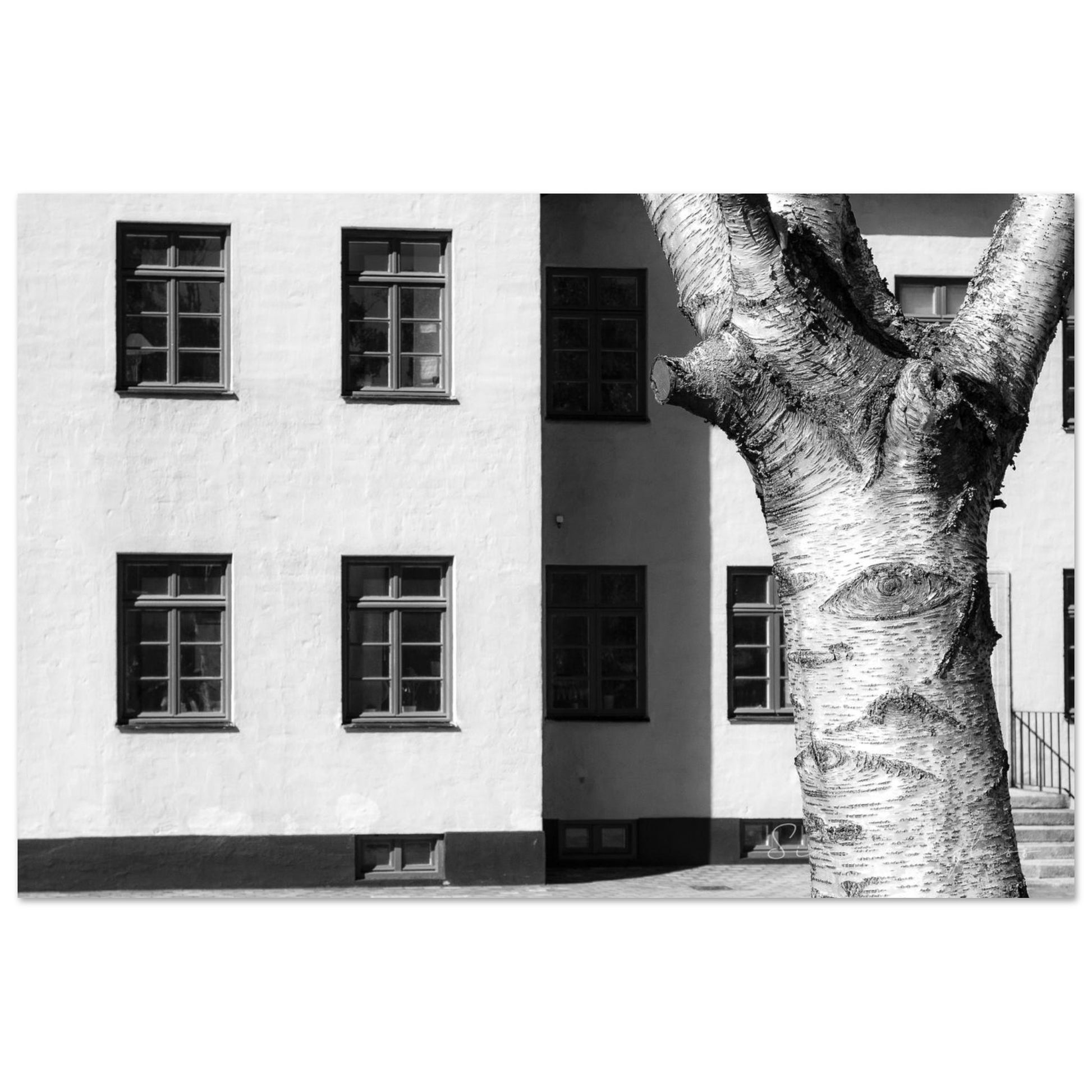 d86f2dbf-a575-46b6-9314-1a807db33bfd