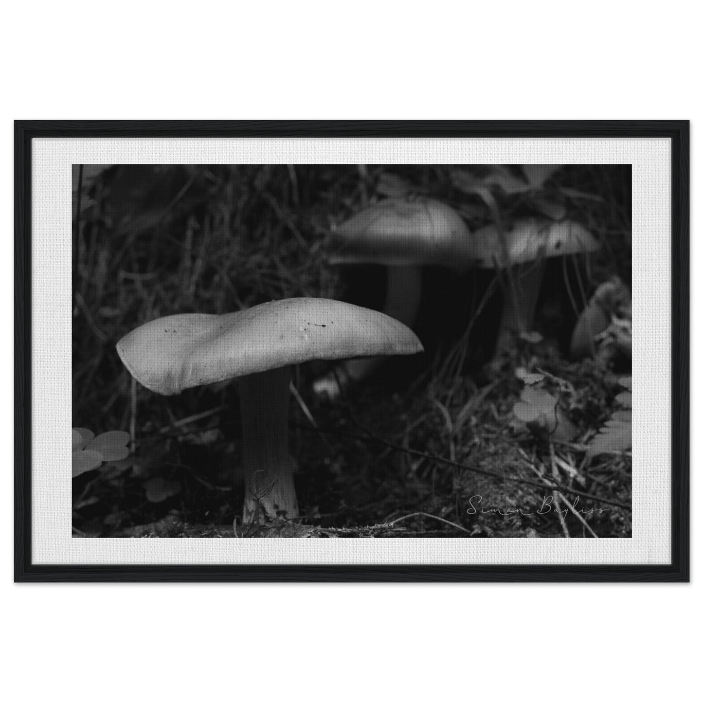 d87537f1-64f4-415e-9706-e384e0c90a0b