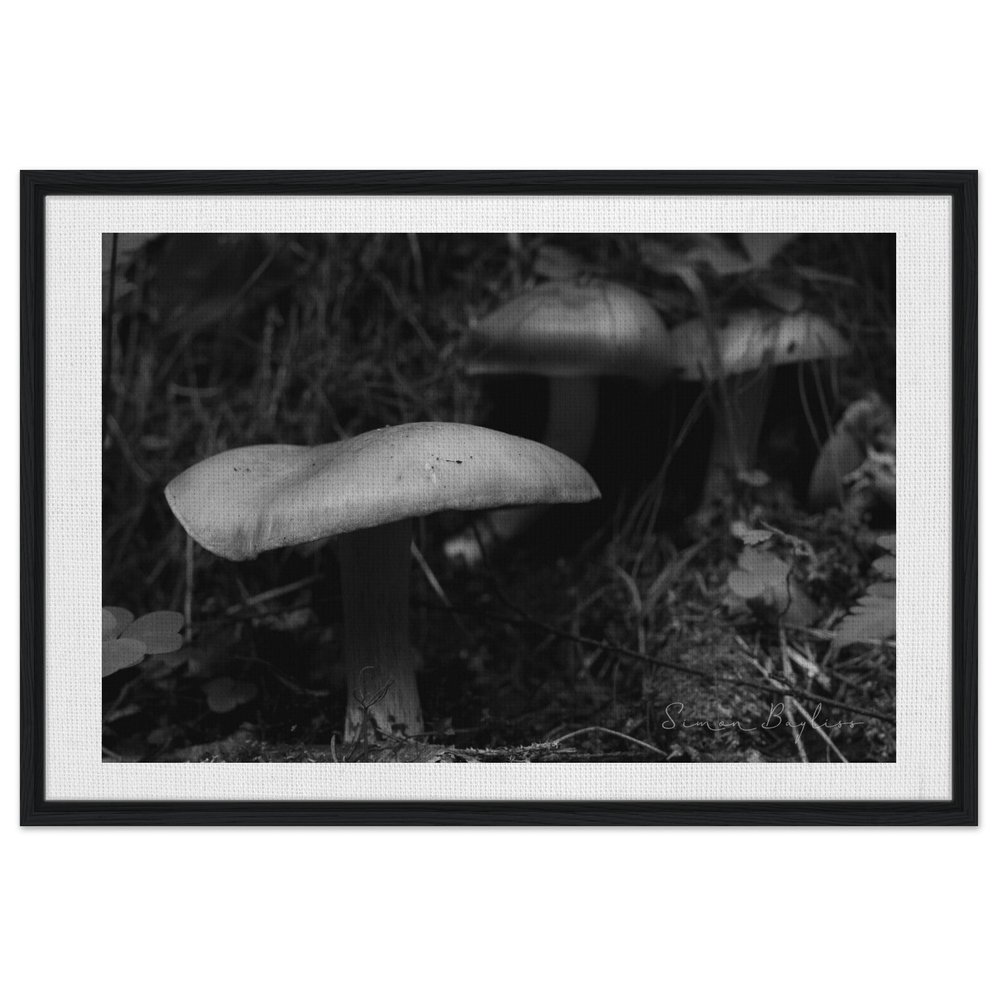 d87537f1-64f4-415e-9706-e384e0c90a0b